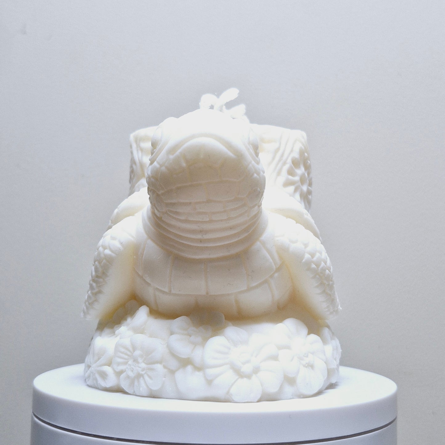 BOUGIE TORTUE