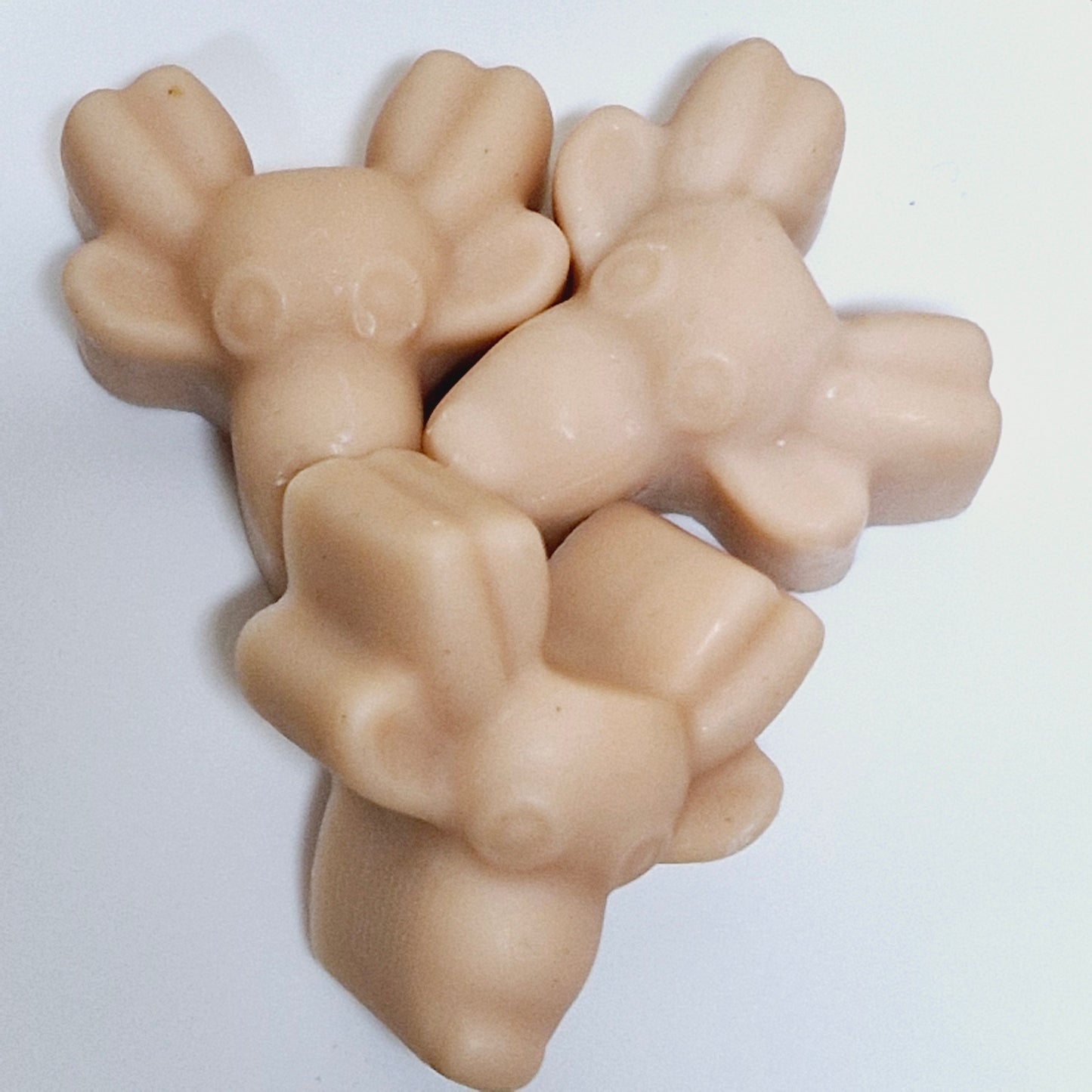 FONDANT RENNE