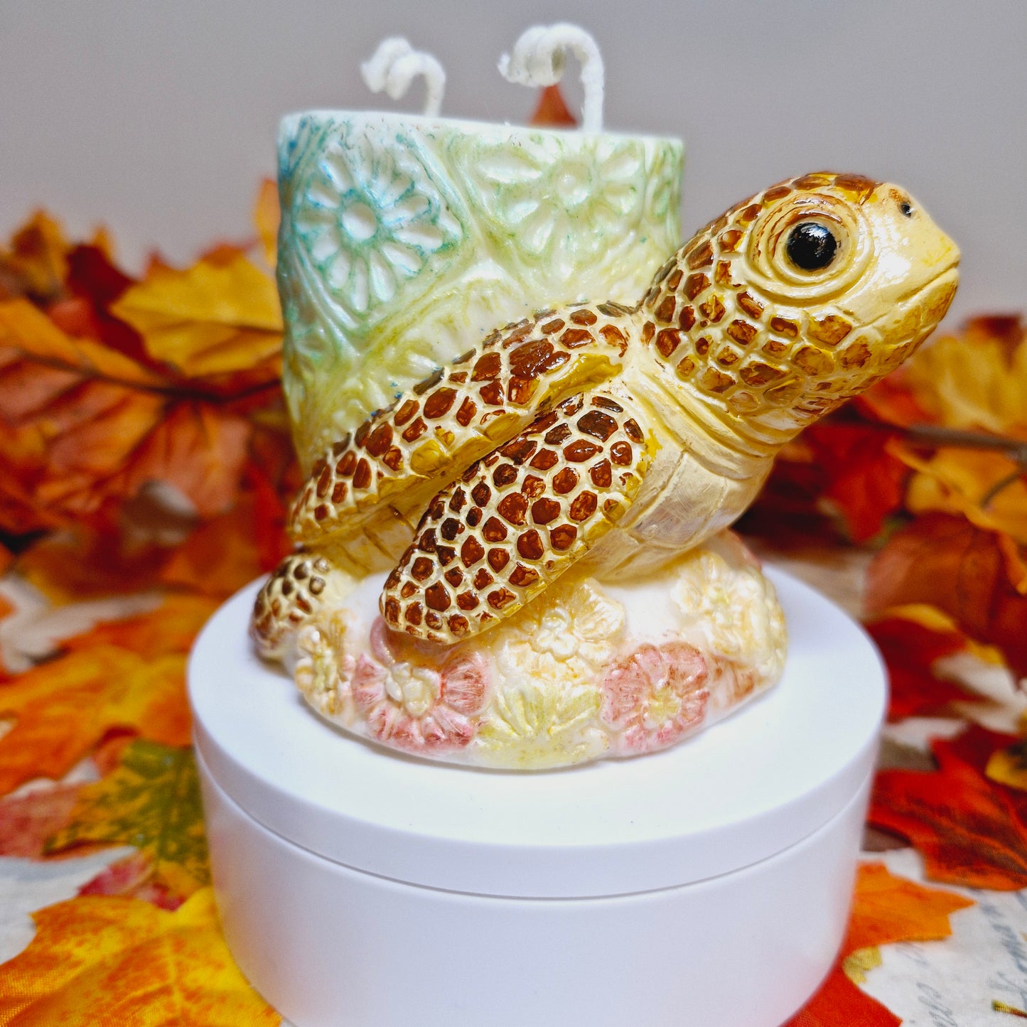 BOUGIE TORTUE
