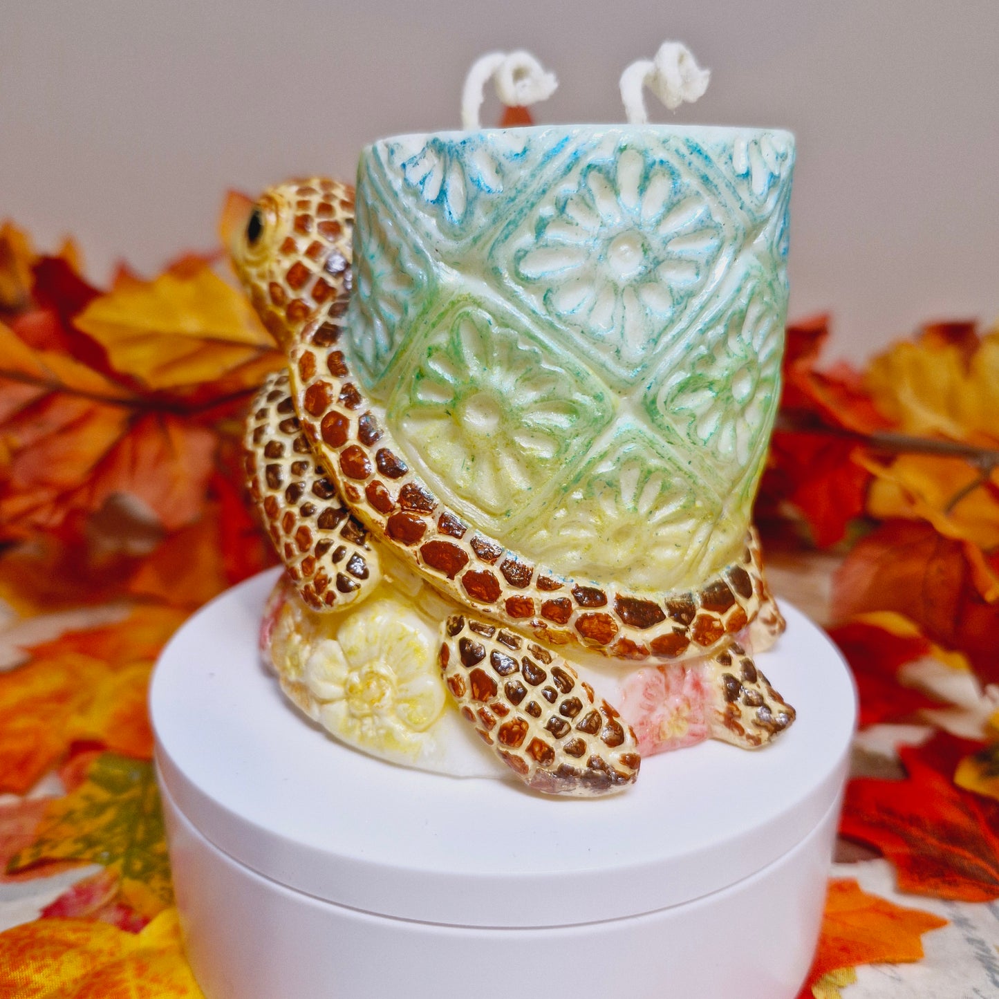BOUGIE TORTUE