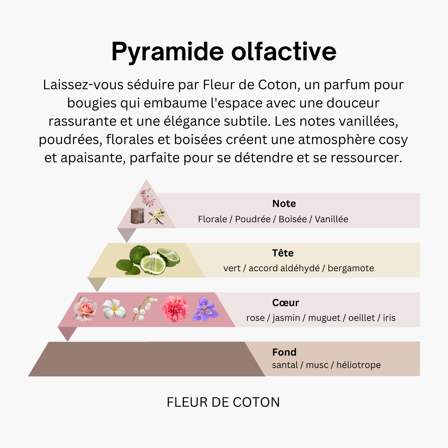 FONDANT MOYENNE TABLETTE ROND