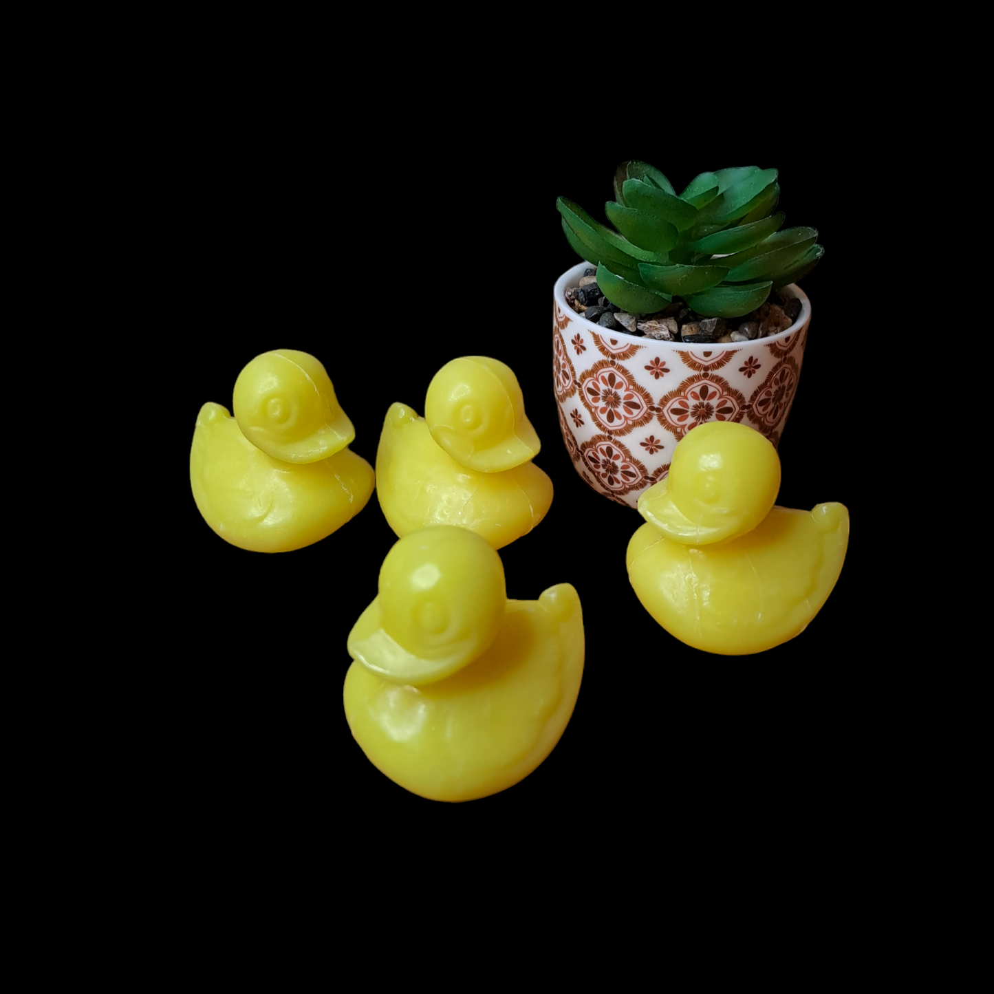 Canard POMELO