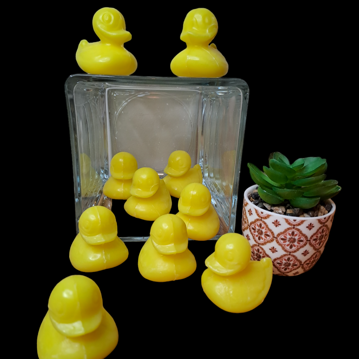 Canard POMELO