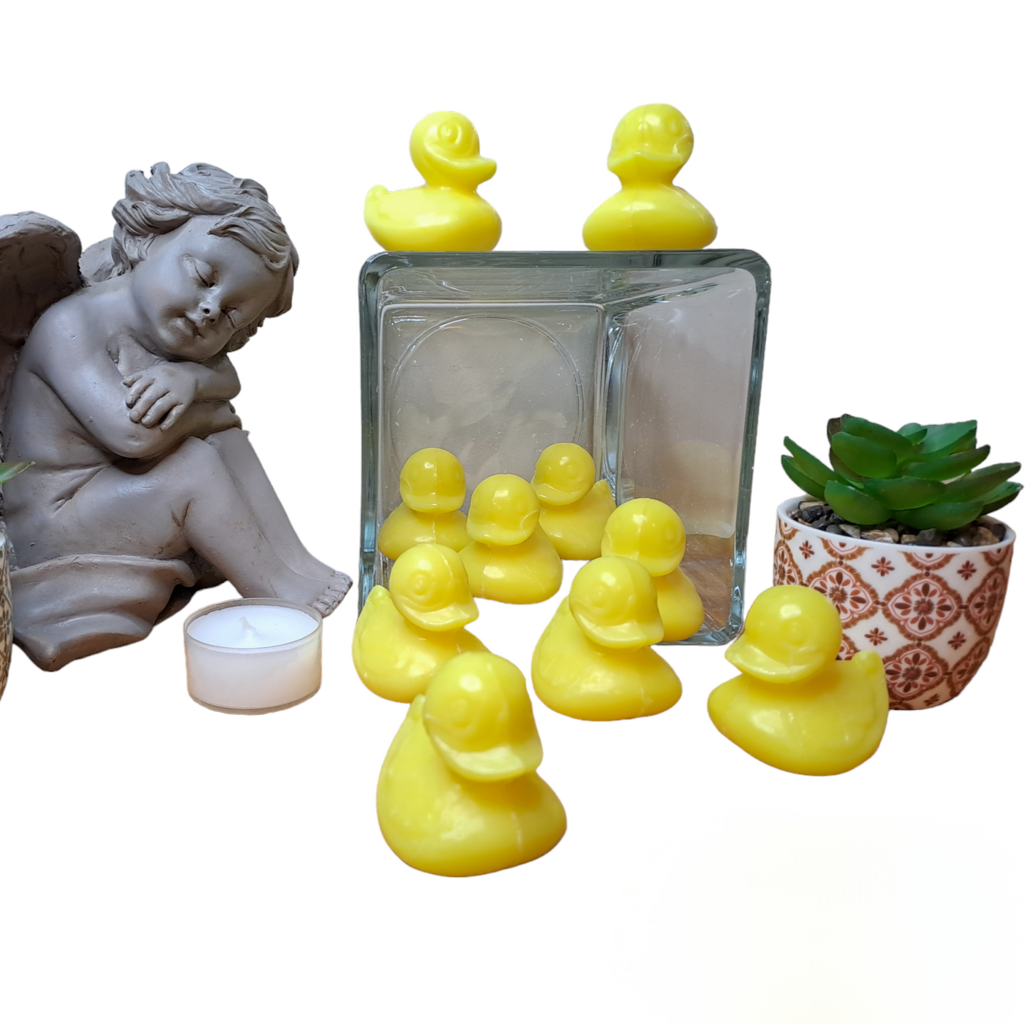 Canard POMELO