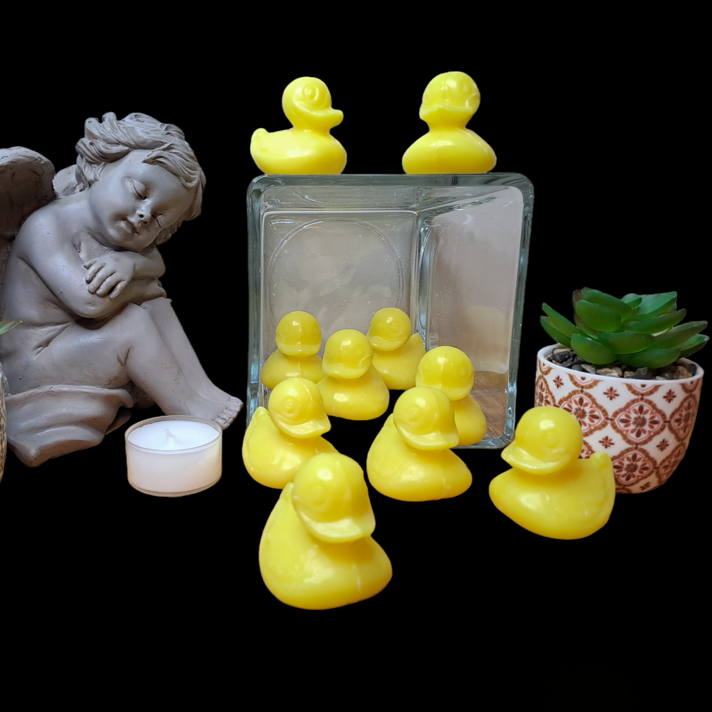 Canard POMELO
