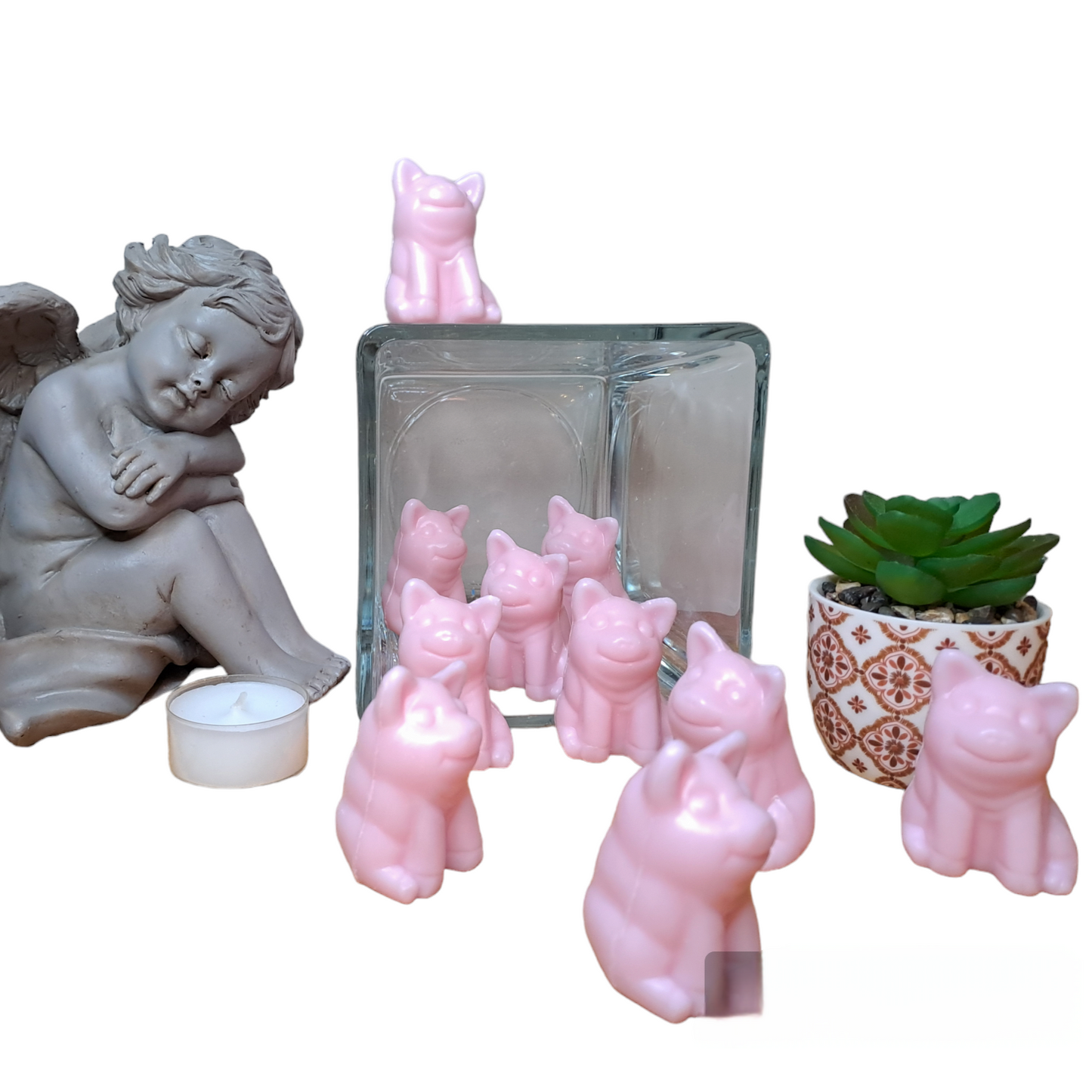 Cochon ROSE