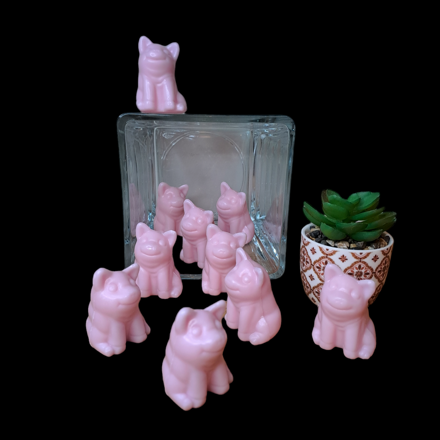 Cochon ROSE
