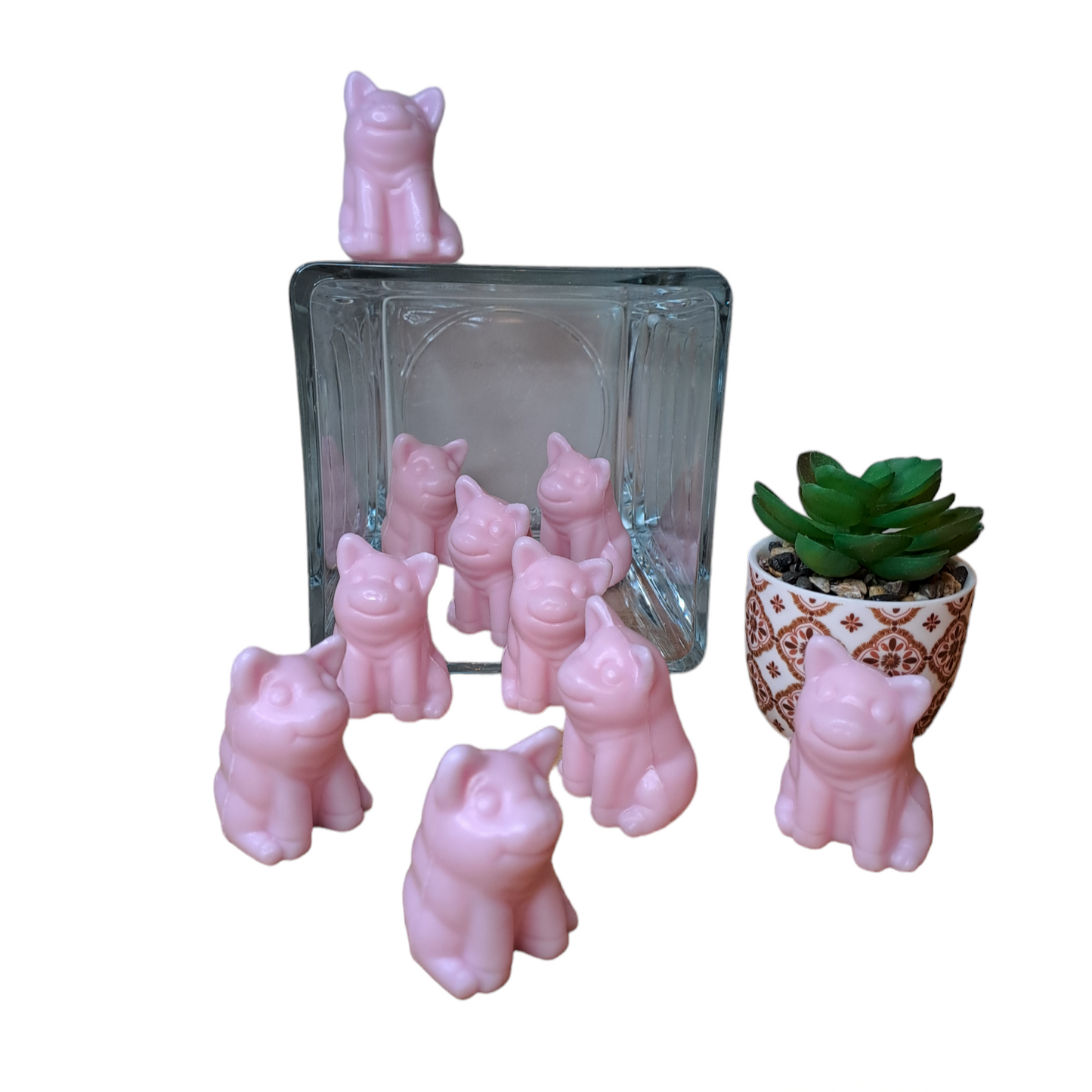 Cochon ROSE