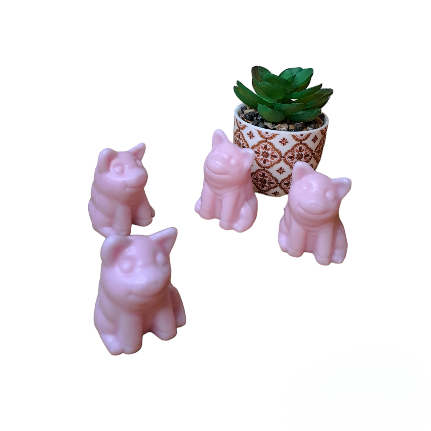 Cochon ROSE