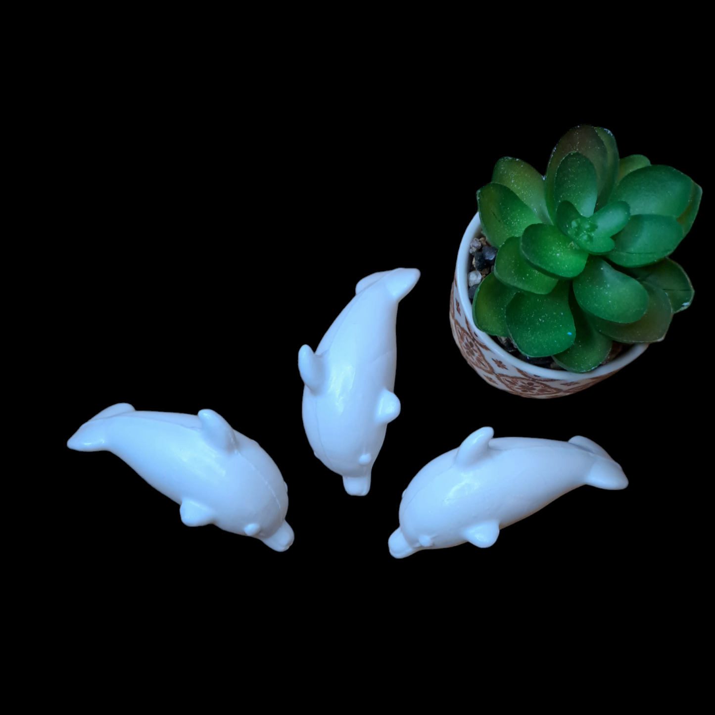 Dauphin MUGUET
