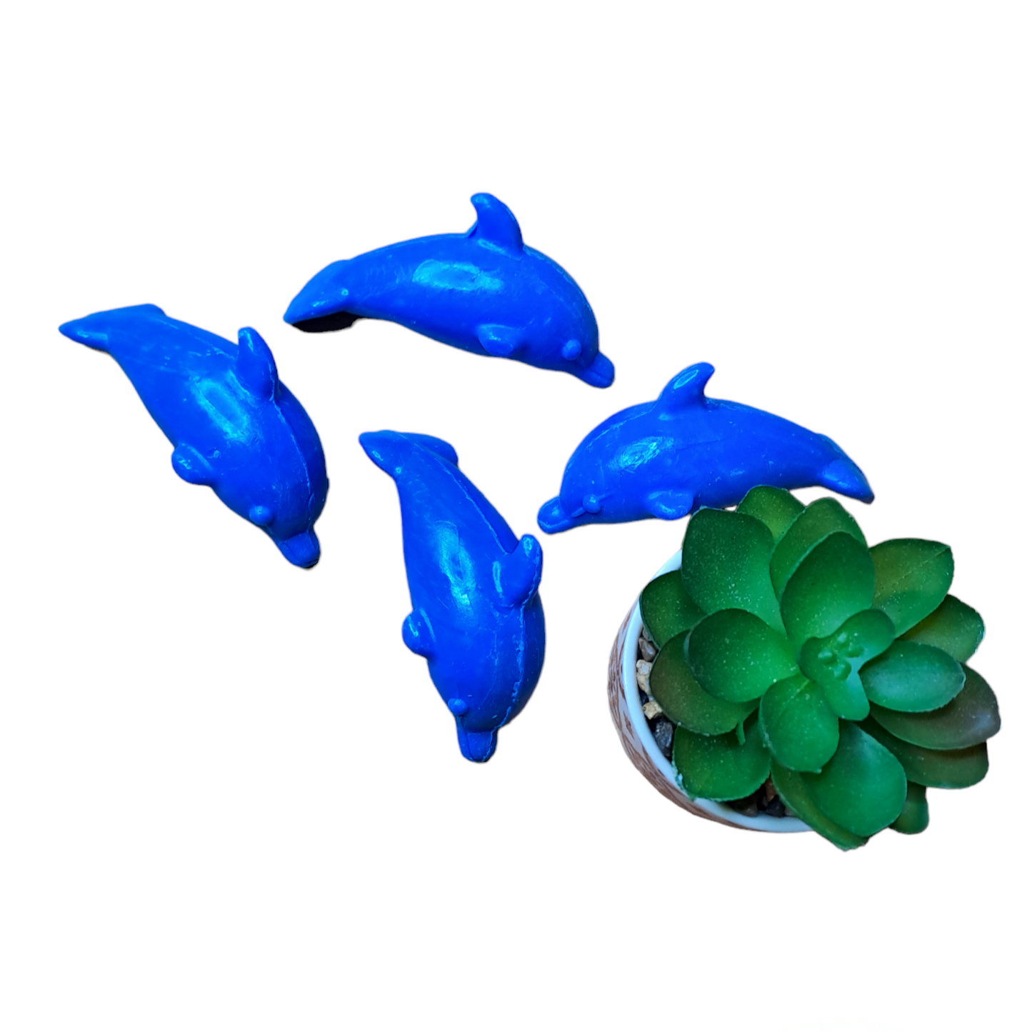 Dauphin MARINE