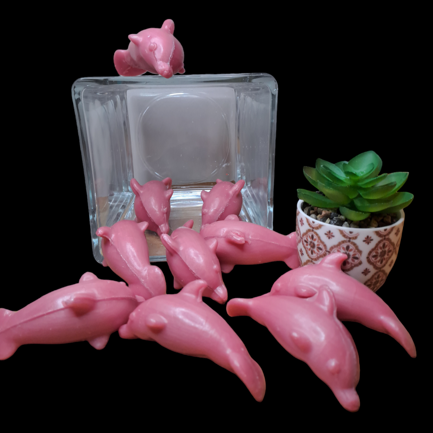 Dauphin ROSE