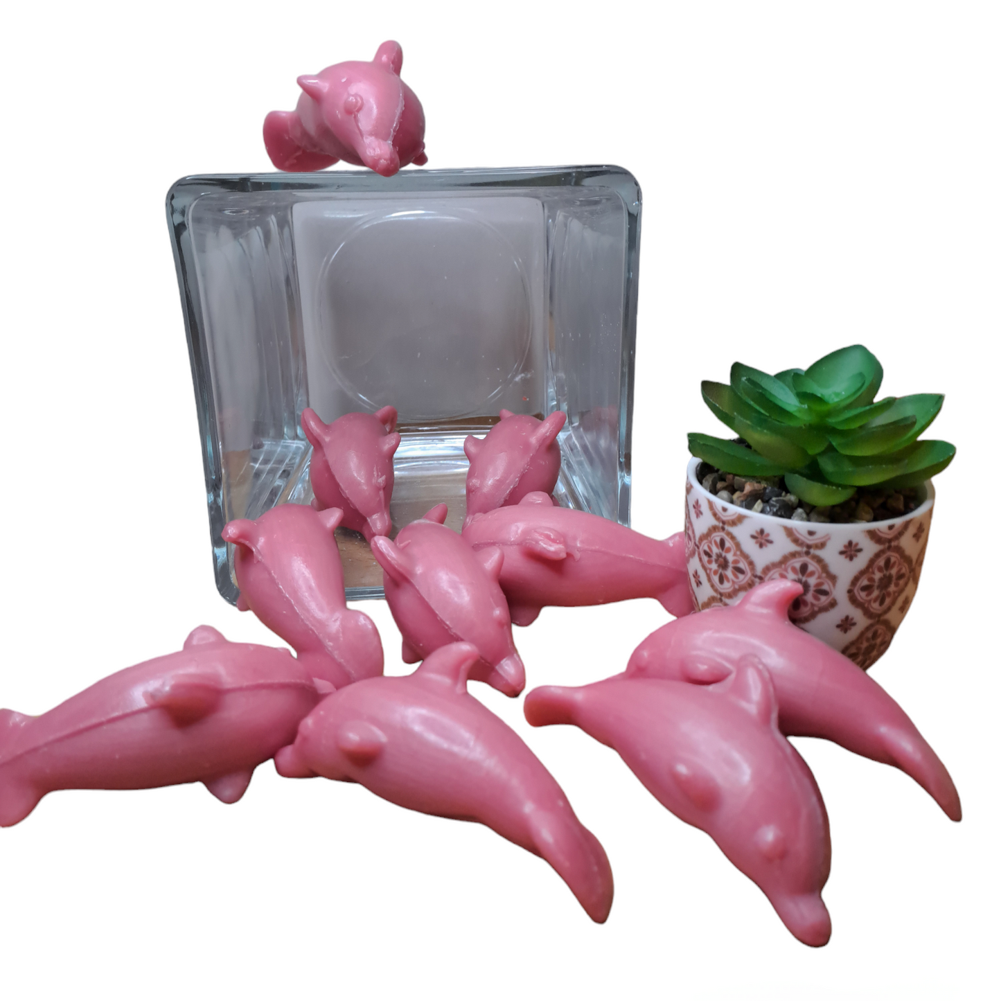 Dauphin ROSE