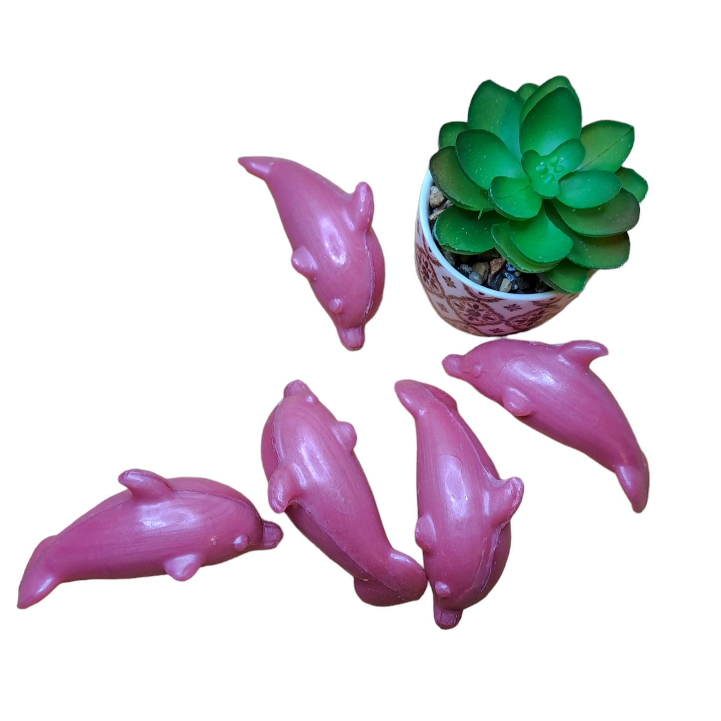 Dauphin ROSE
