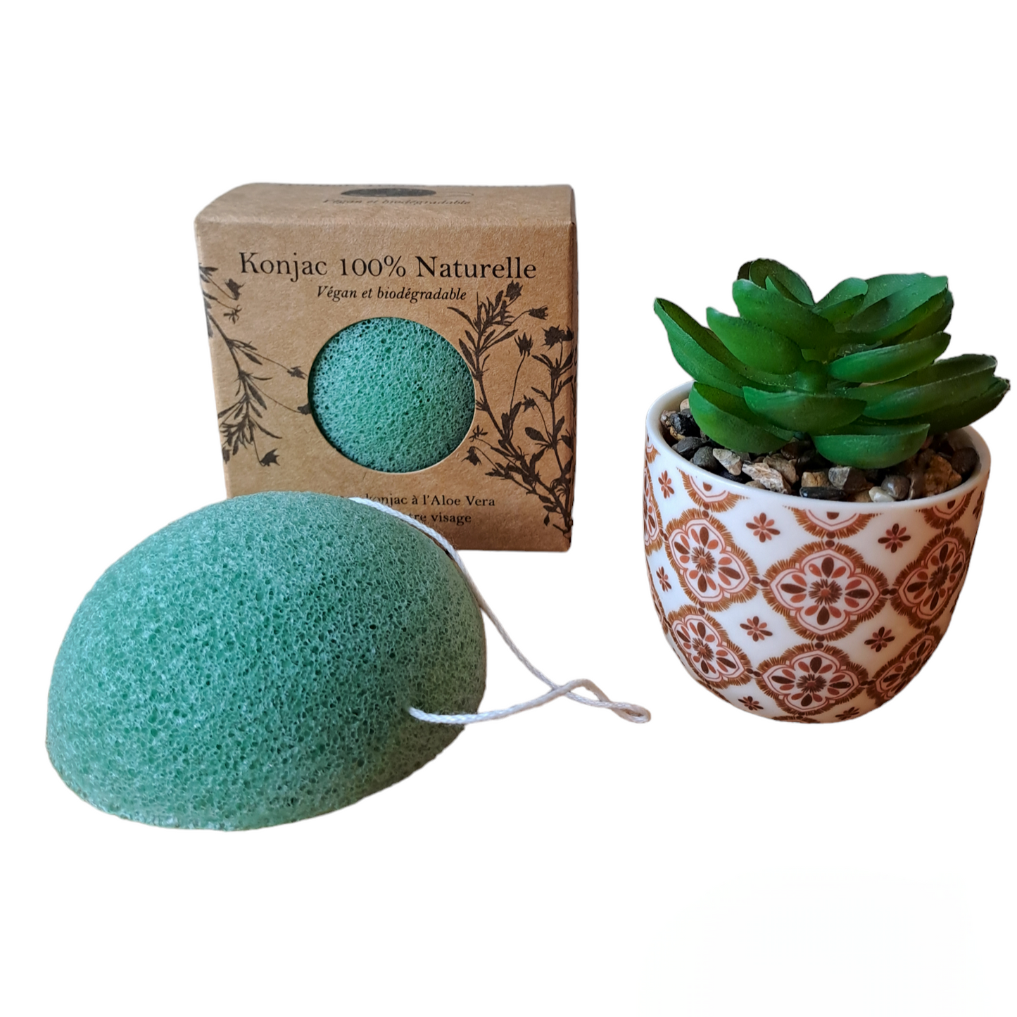 Eponge KONJAC VERTE Aloe Vera