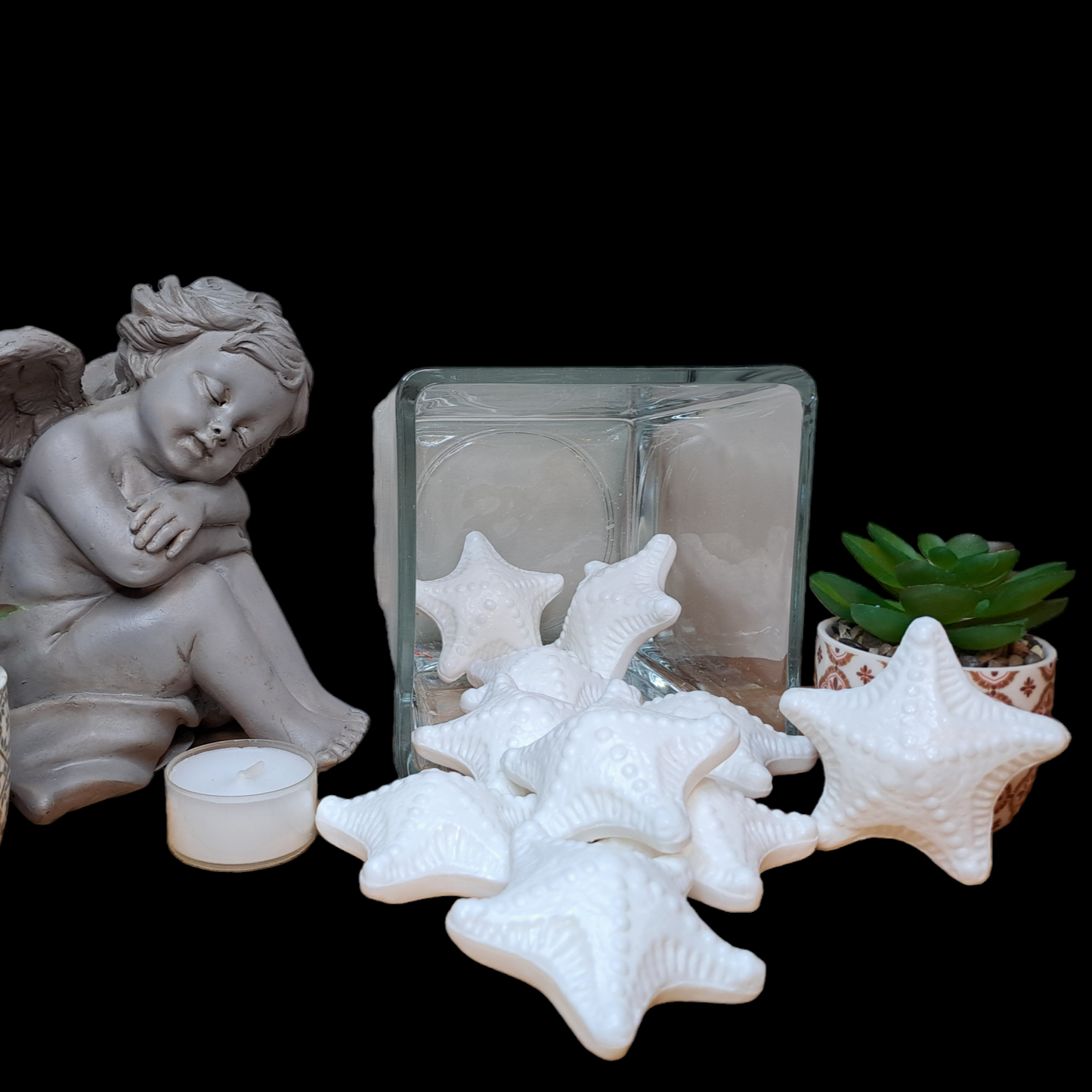 Étoile de mer MUGUET