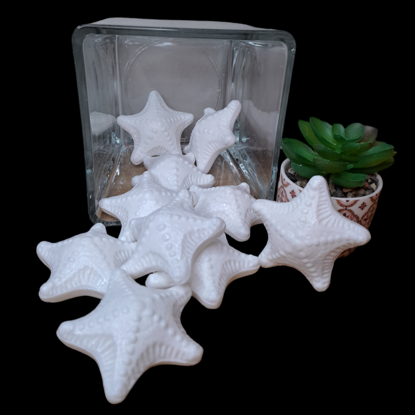 Étoile de mer MUGUET