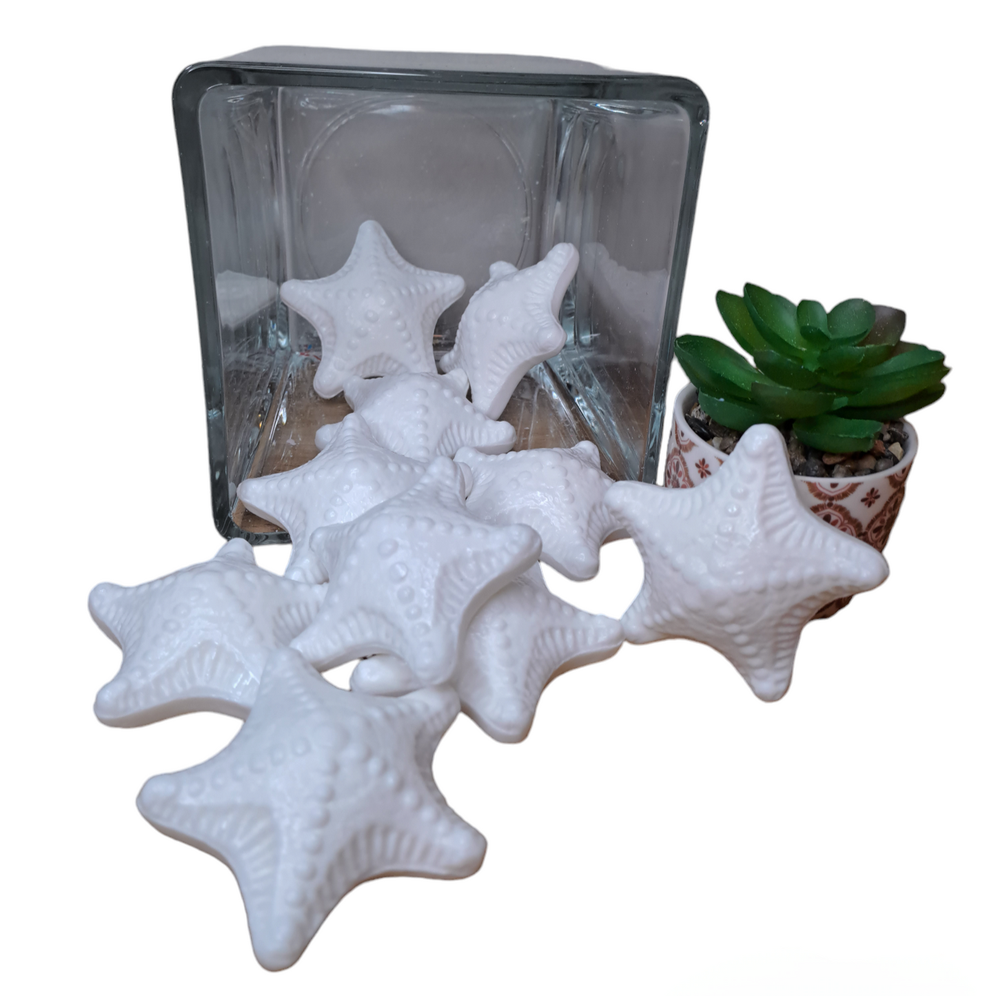 Étoile de mer MUGUET