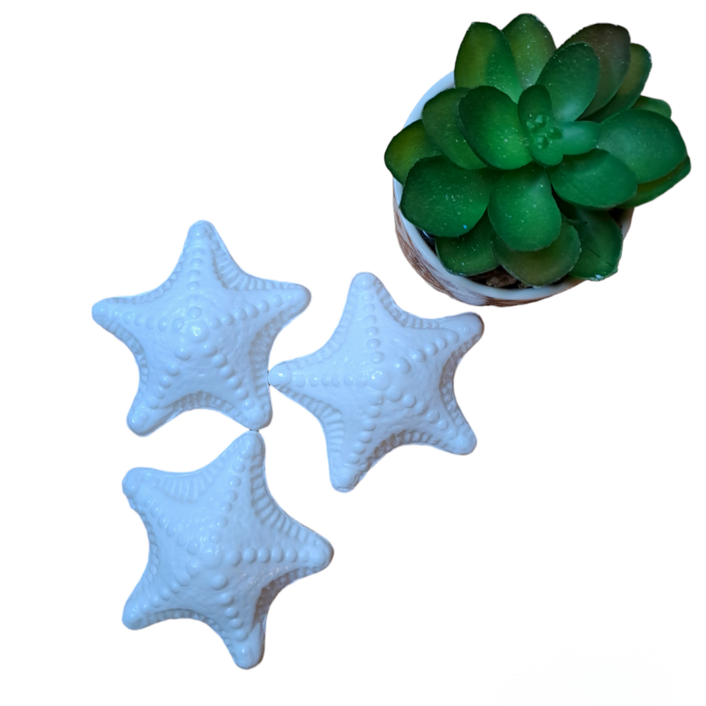 Étoile de mer MUGUET