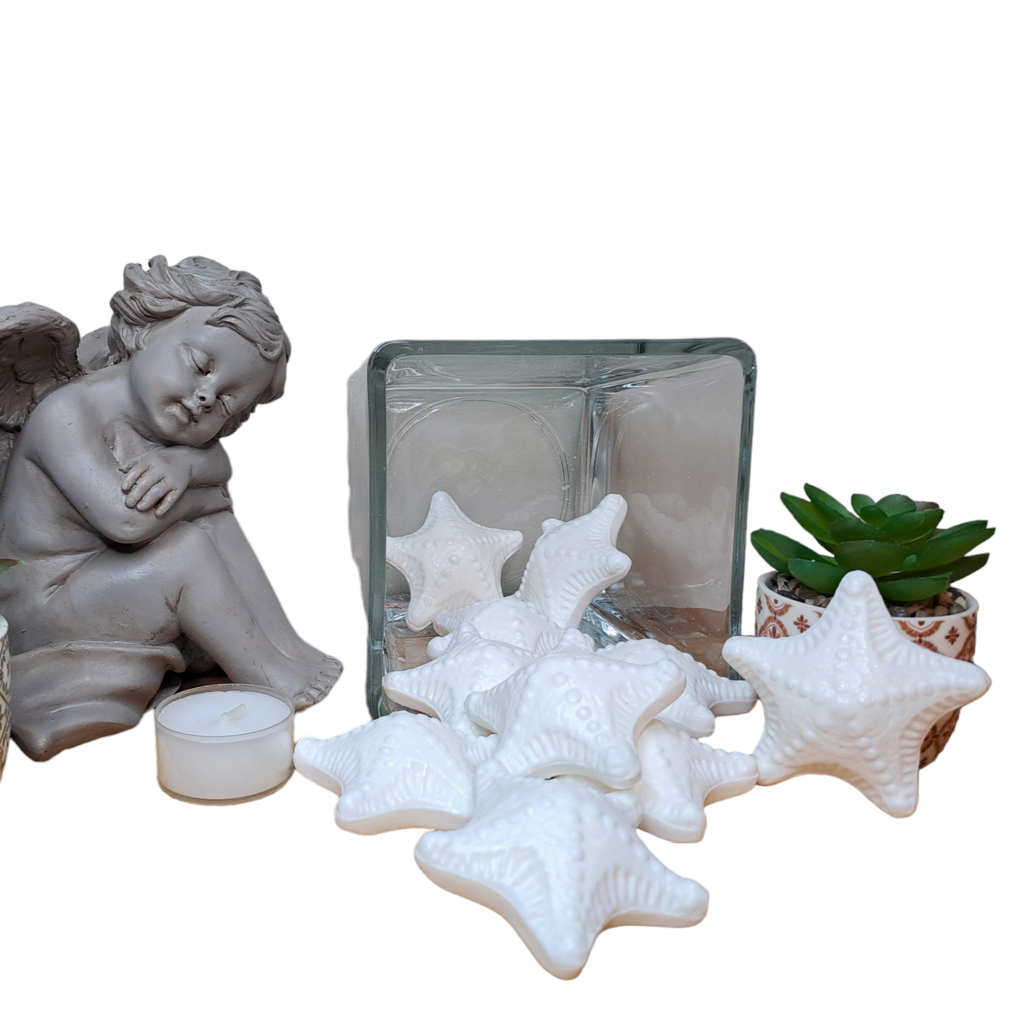 Étoile de mer MUGUET