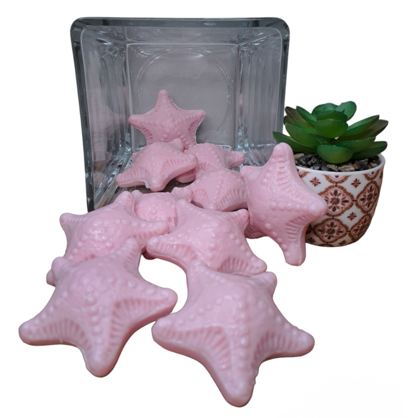 Étoile de mer ROSE