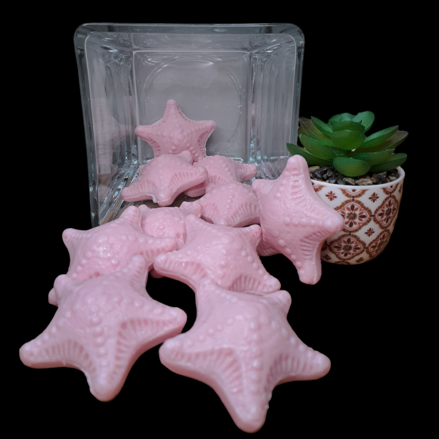 Étoile de mer ROSE