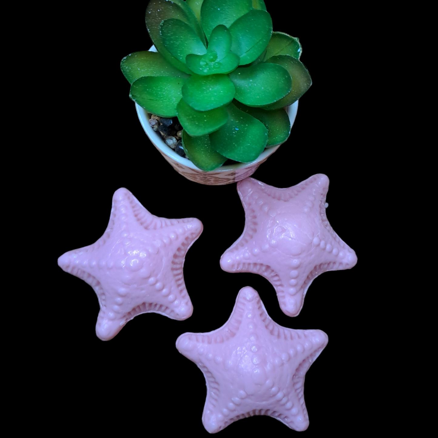 Étoile de mer ROSE
