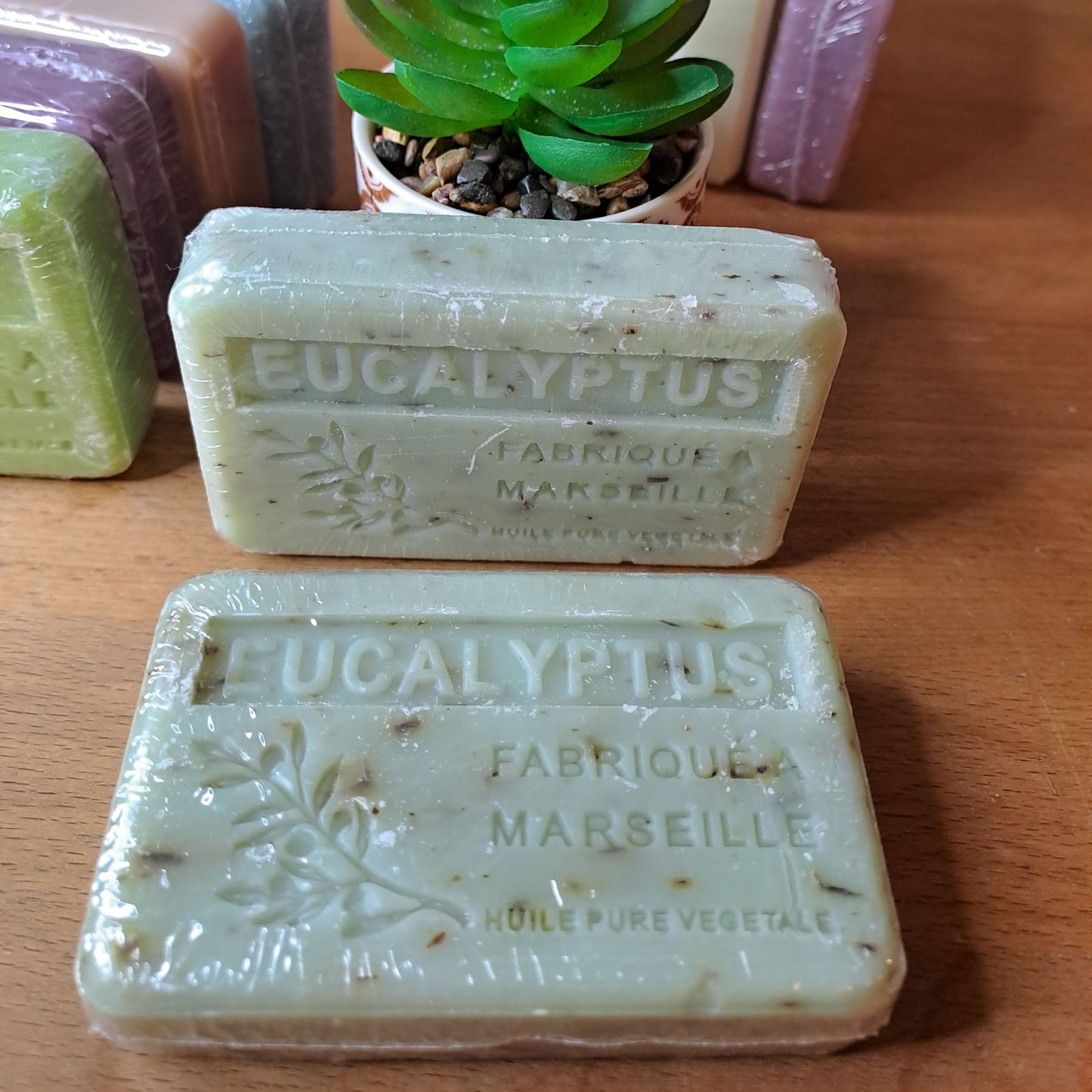 EUCALYPTUS