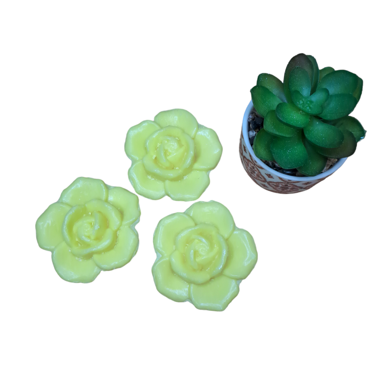 Fleur POMELO