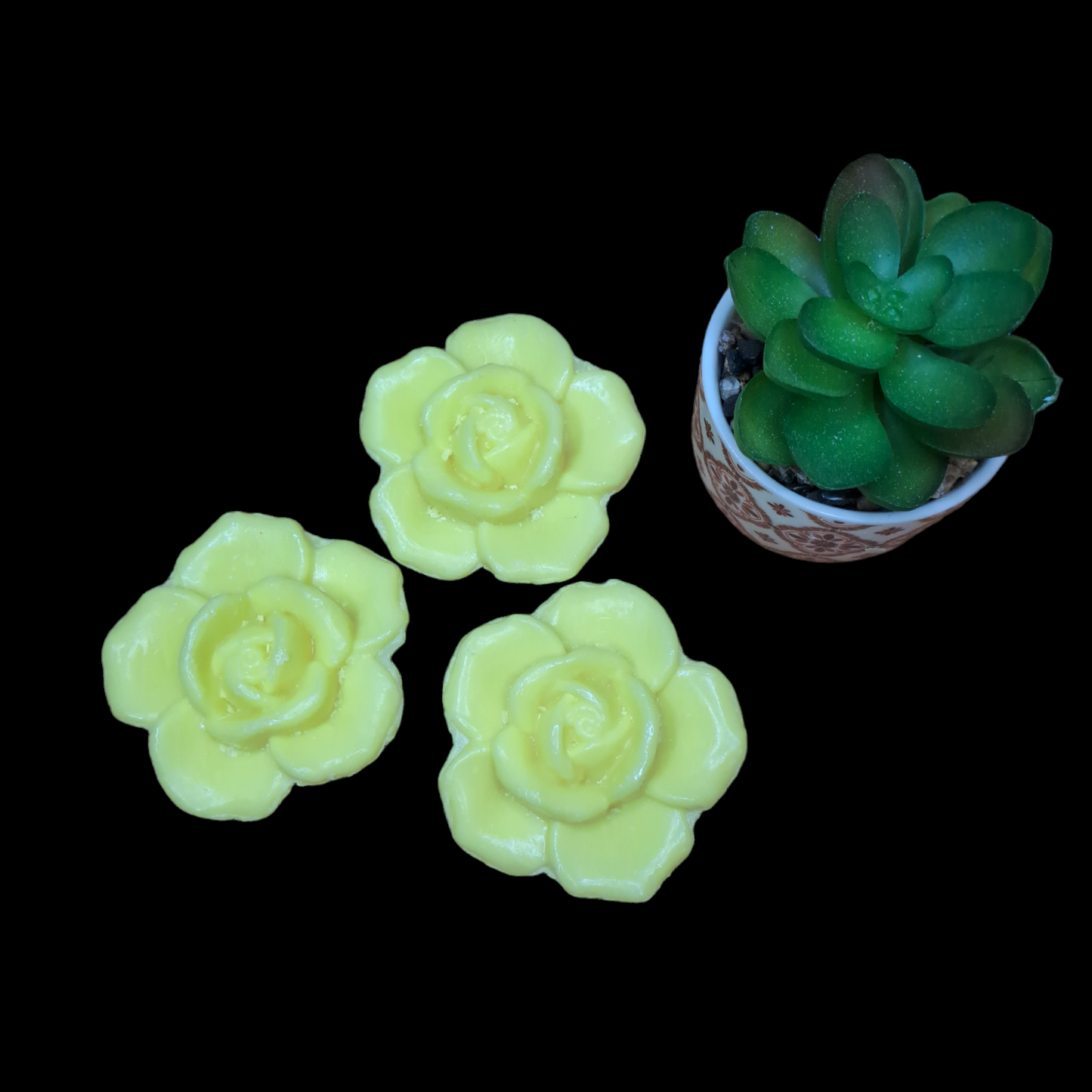Fleur POMELO