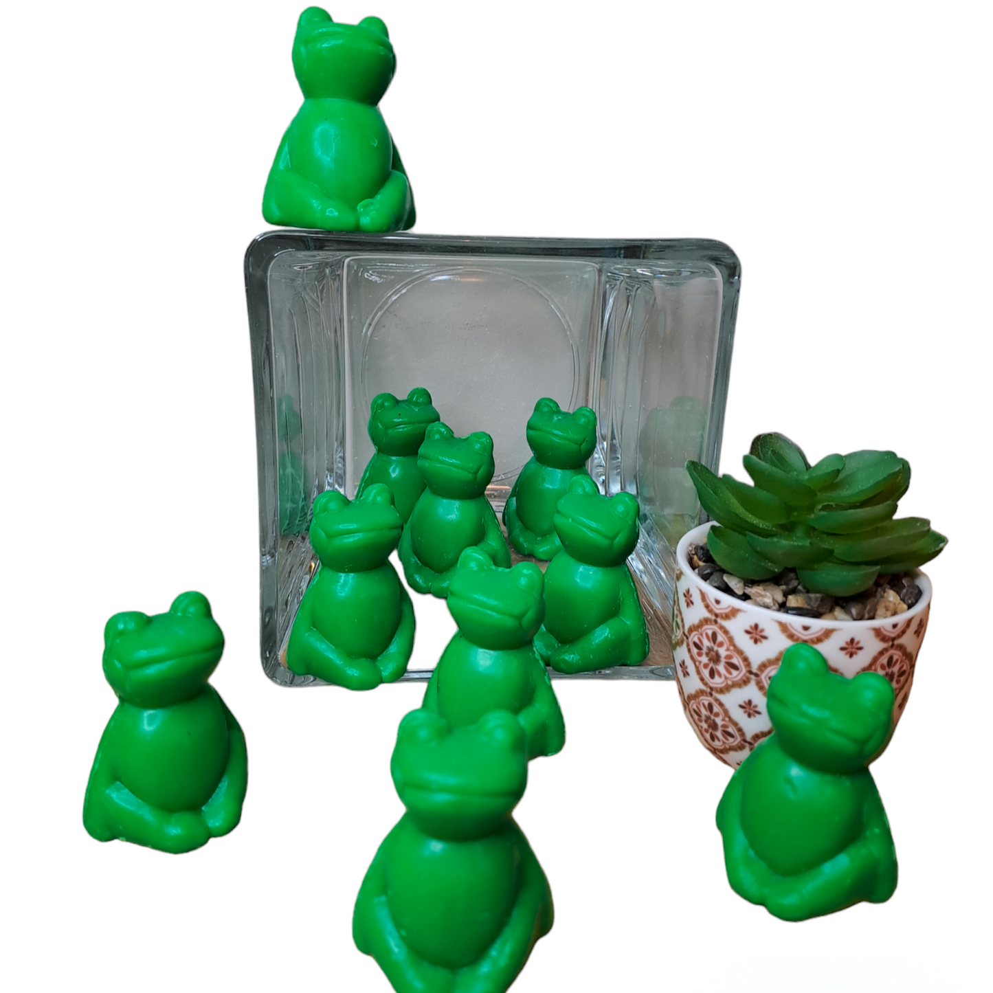 Grenouille THÉ VERT