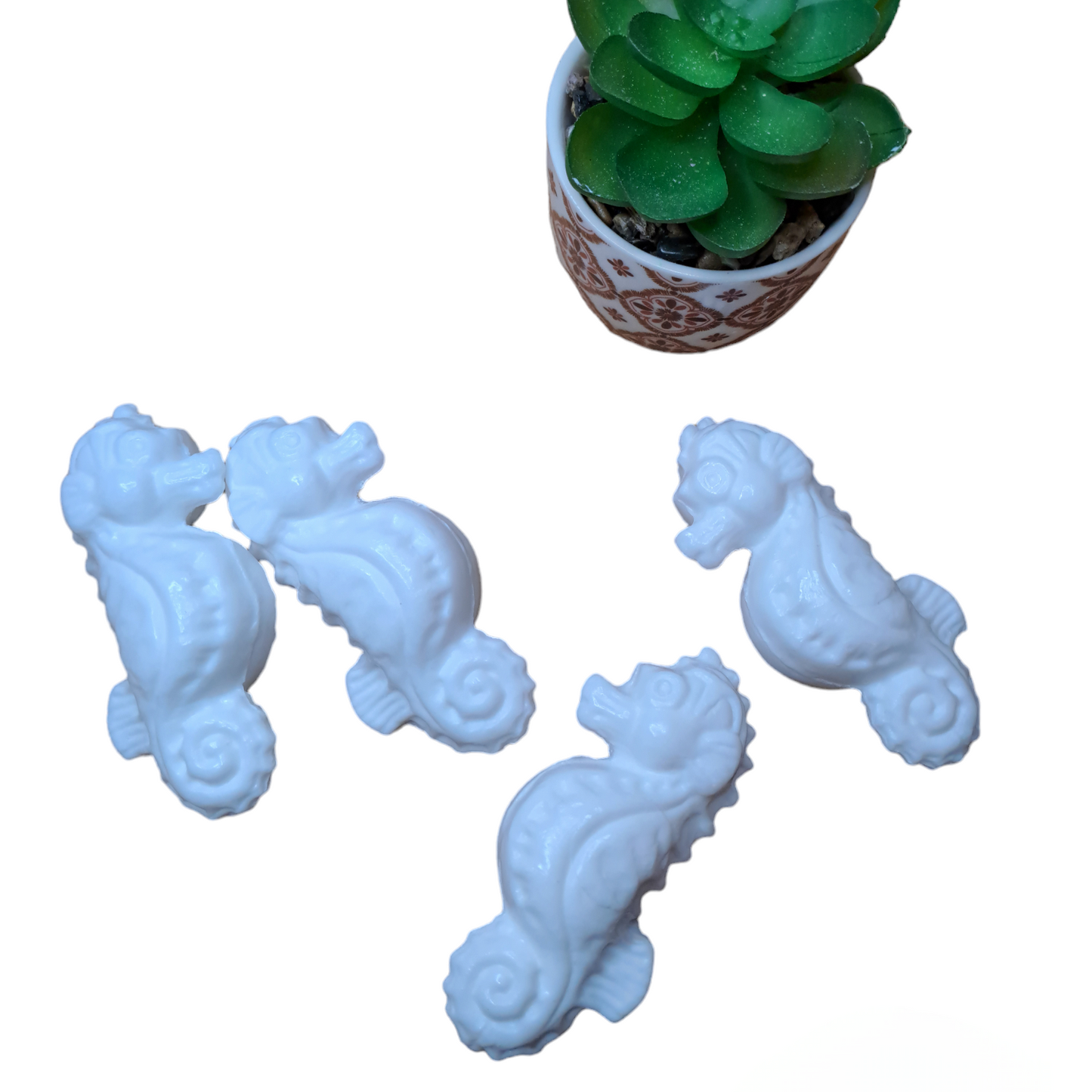 Hippocampe MUGUET
