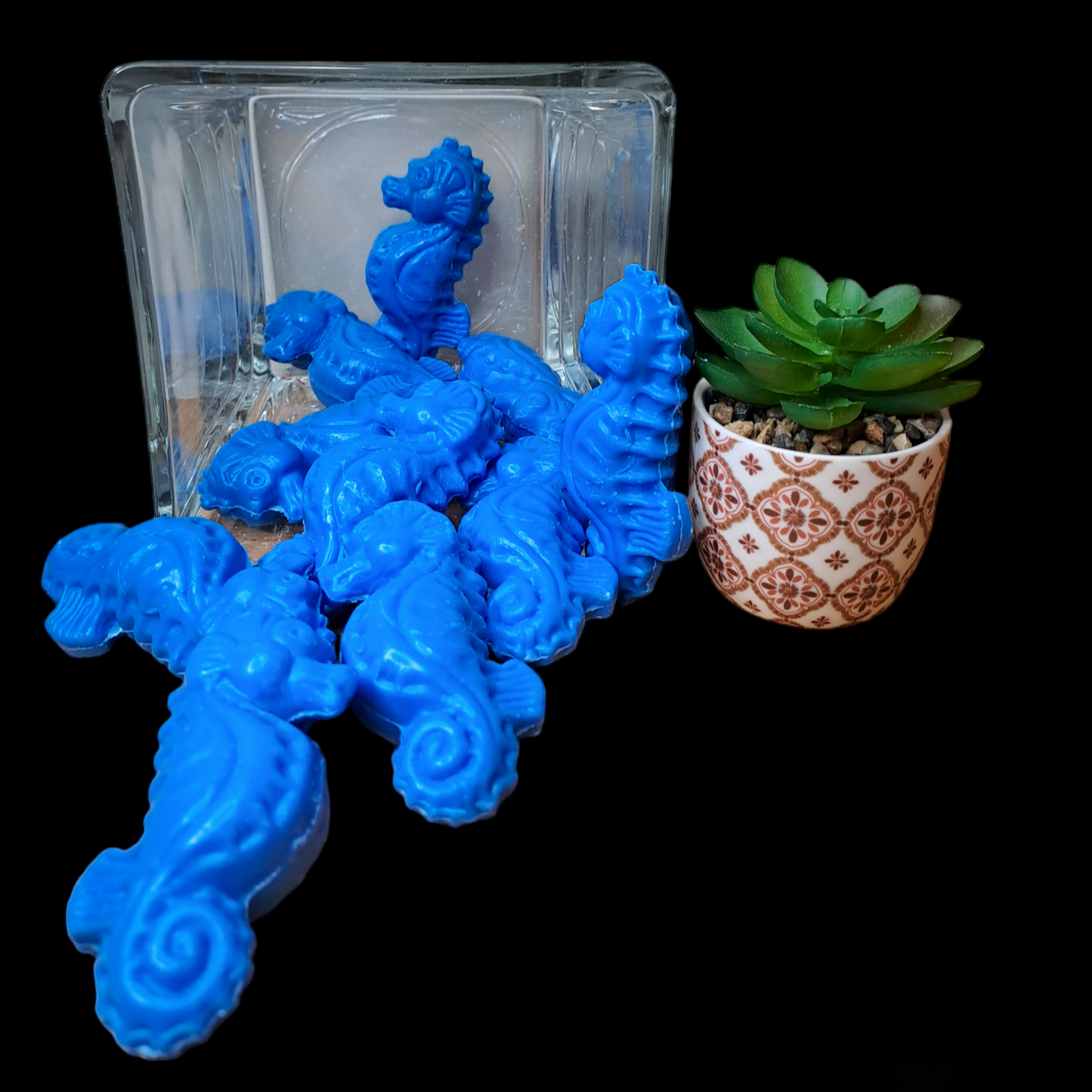 Hippocampe MARINE