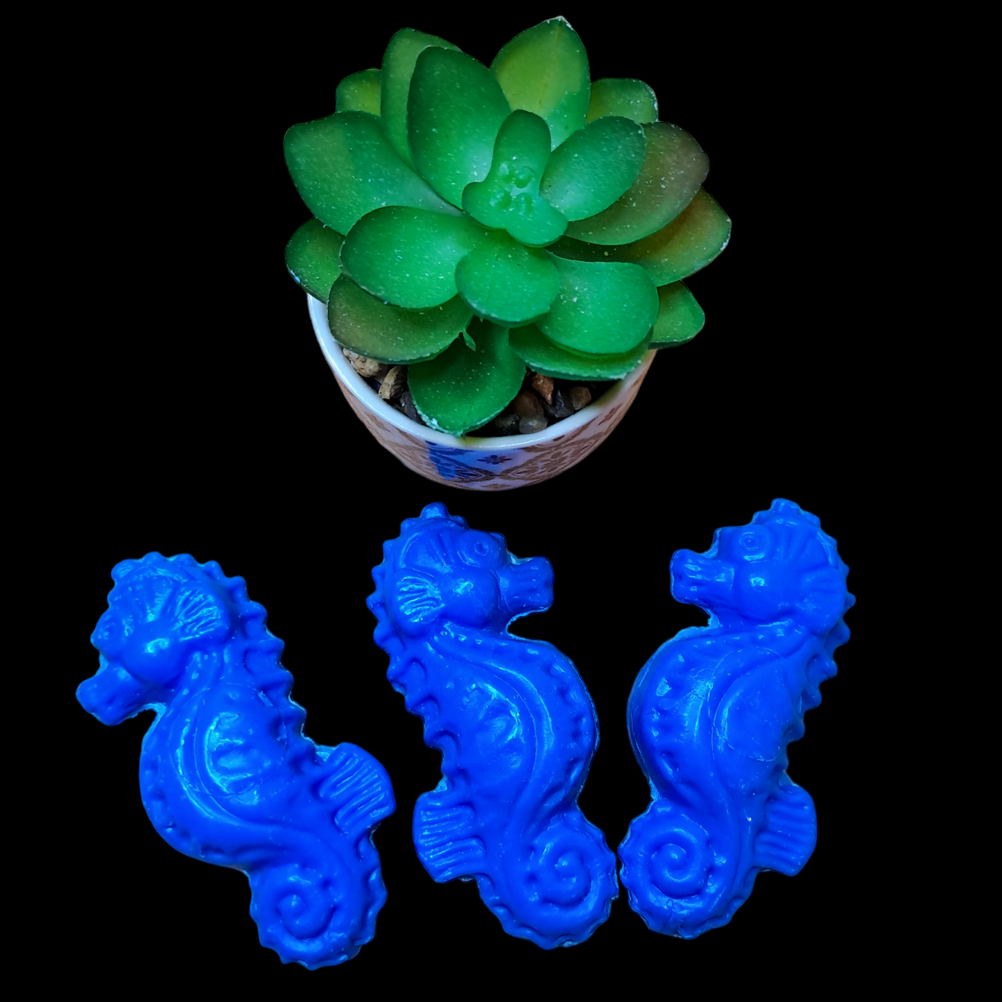 Hippocampe MARINE