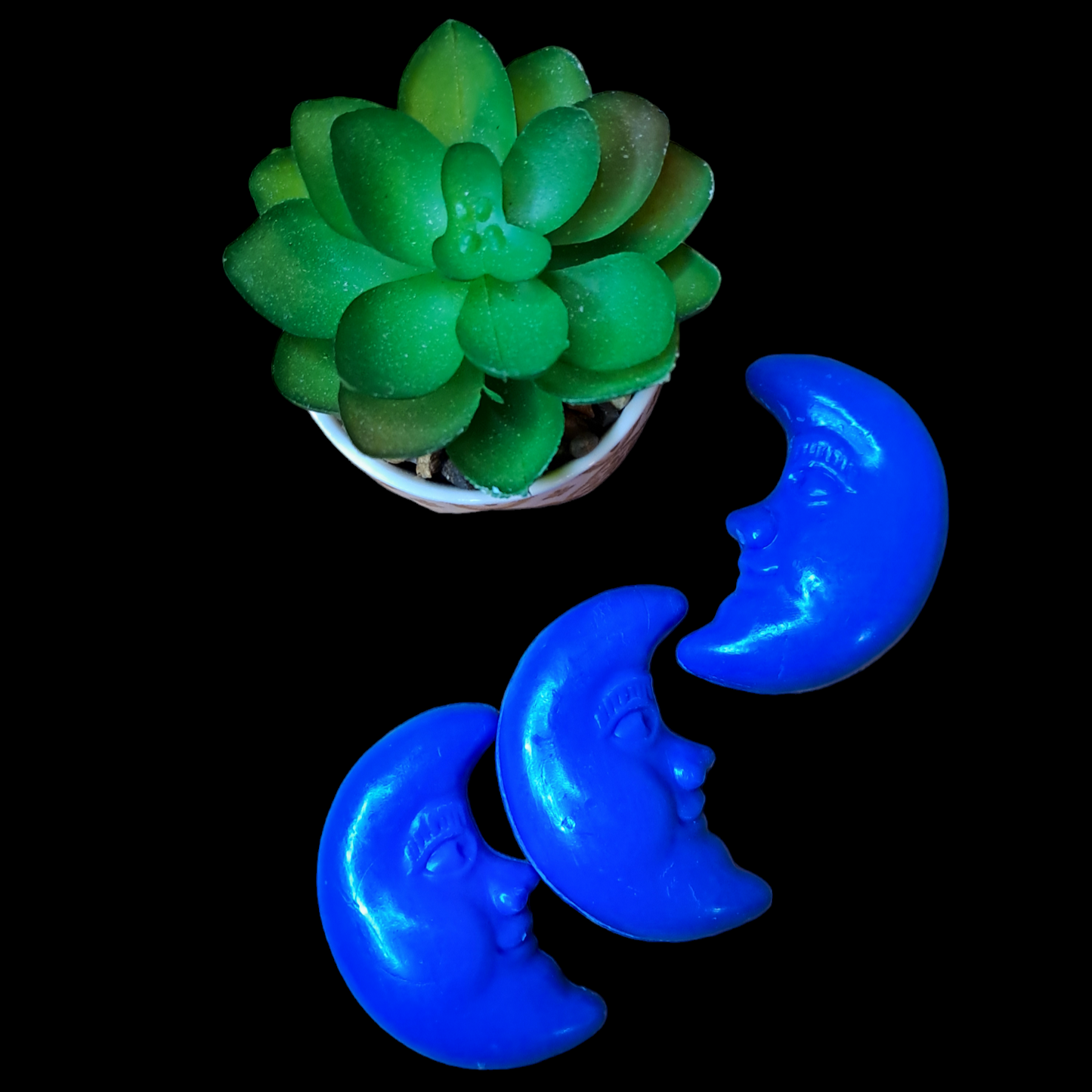 Lune OCÉAN