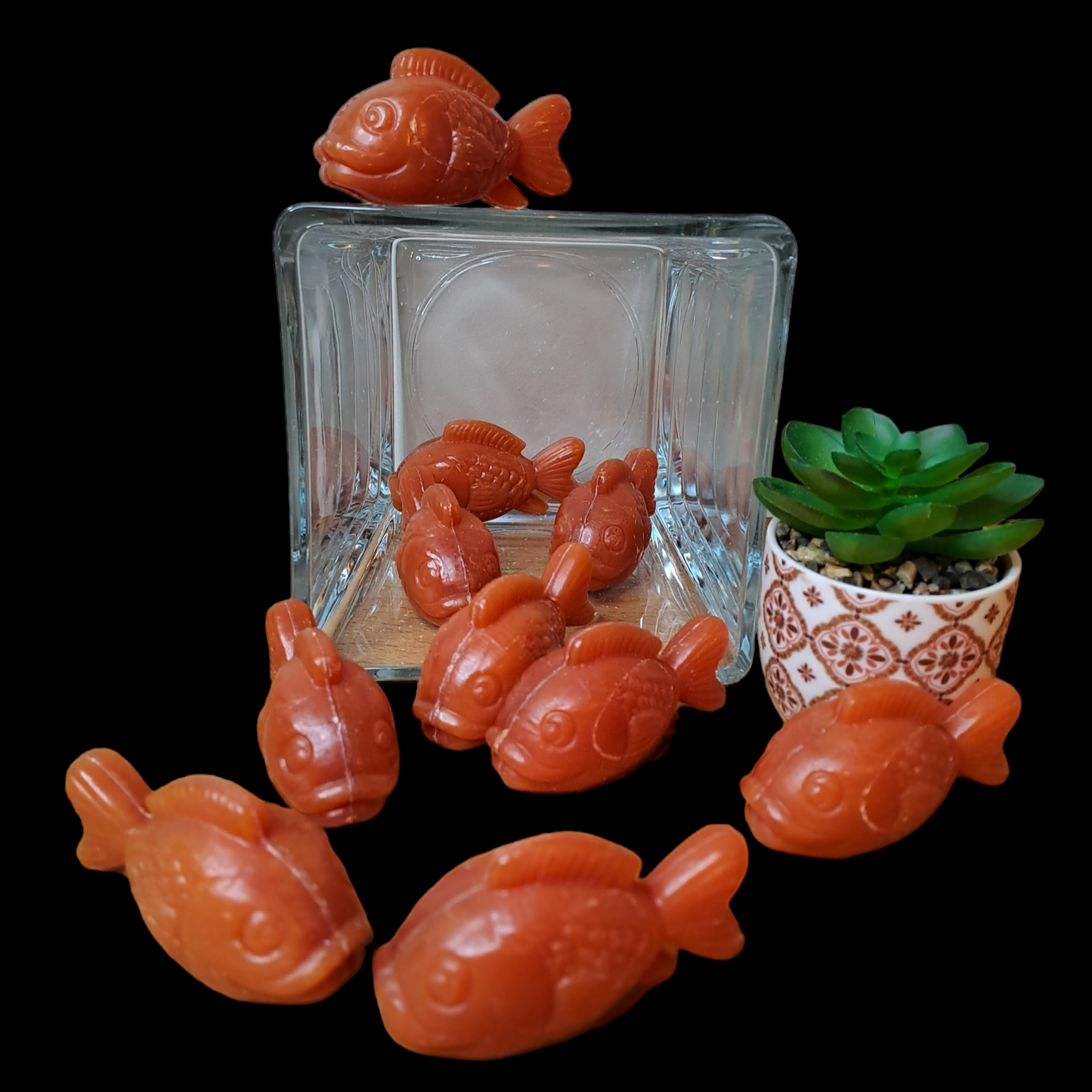 Poisson lune ABRICOT