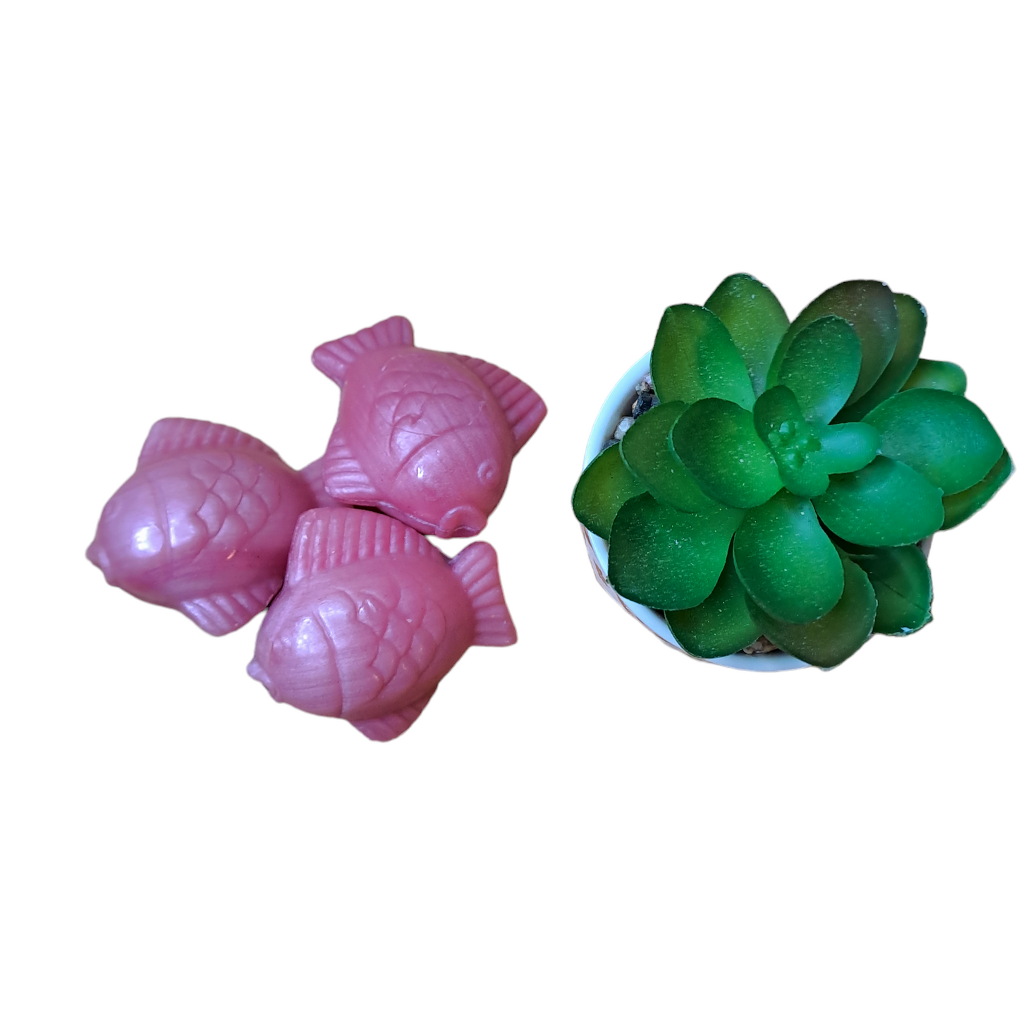 Poisson lune ROSE