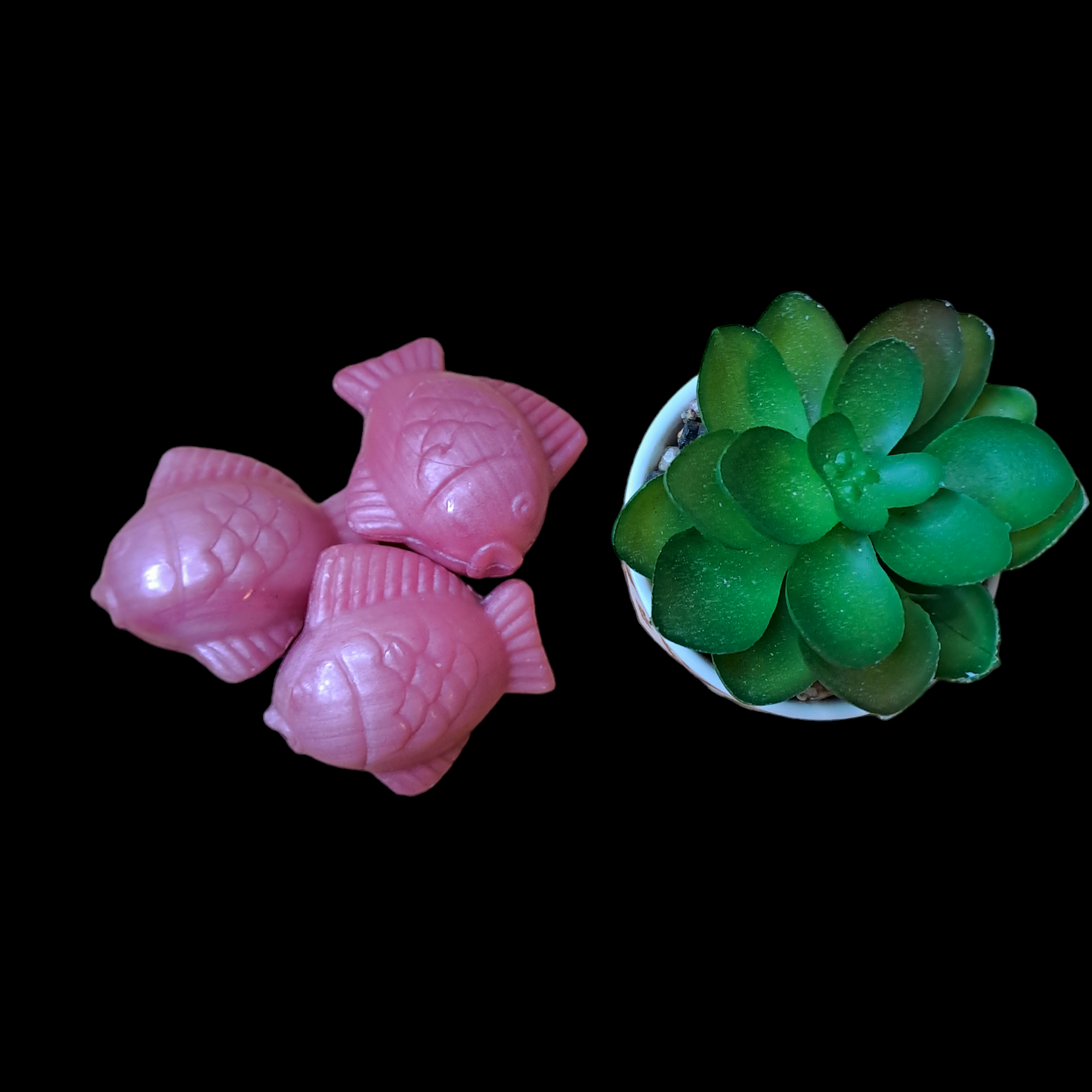 Poisson lune ROSE