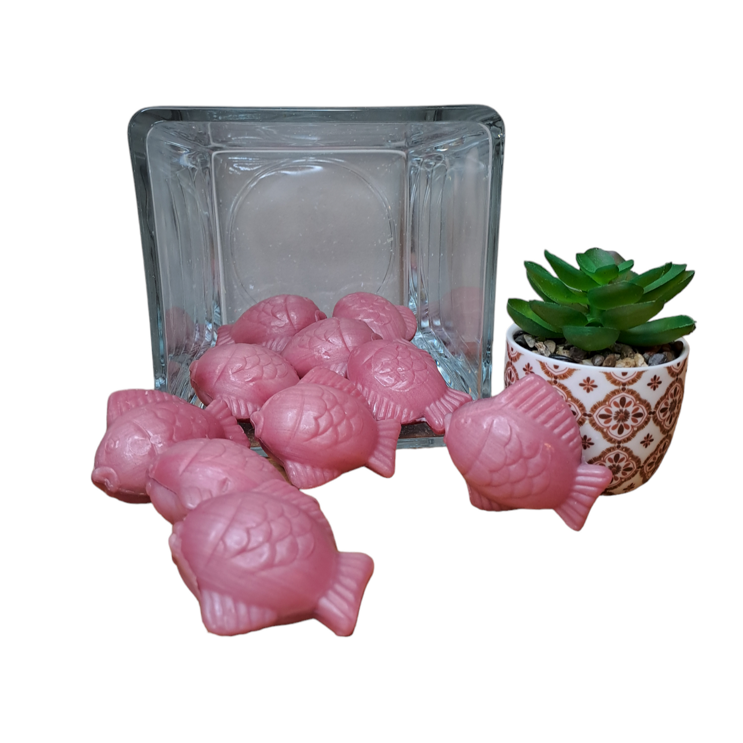 Poisson lune ROSE