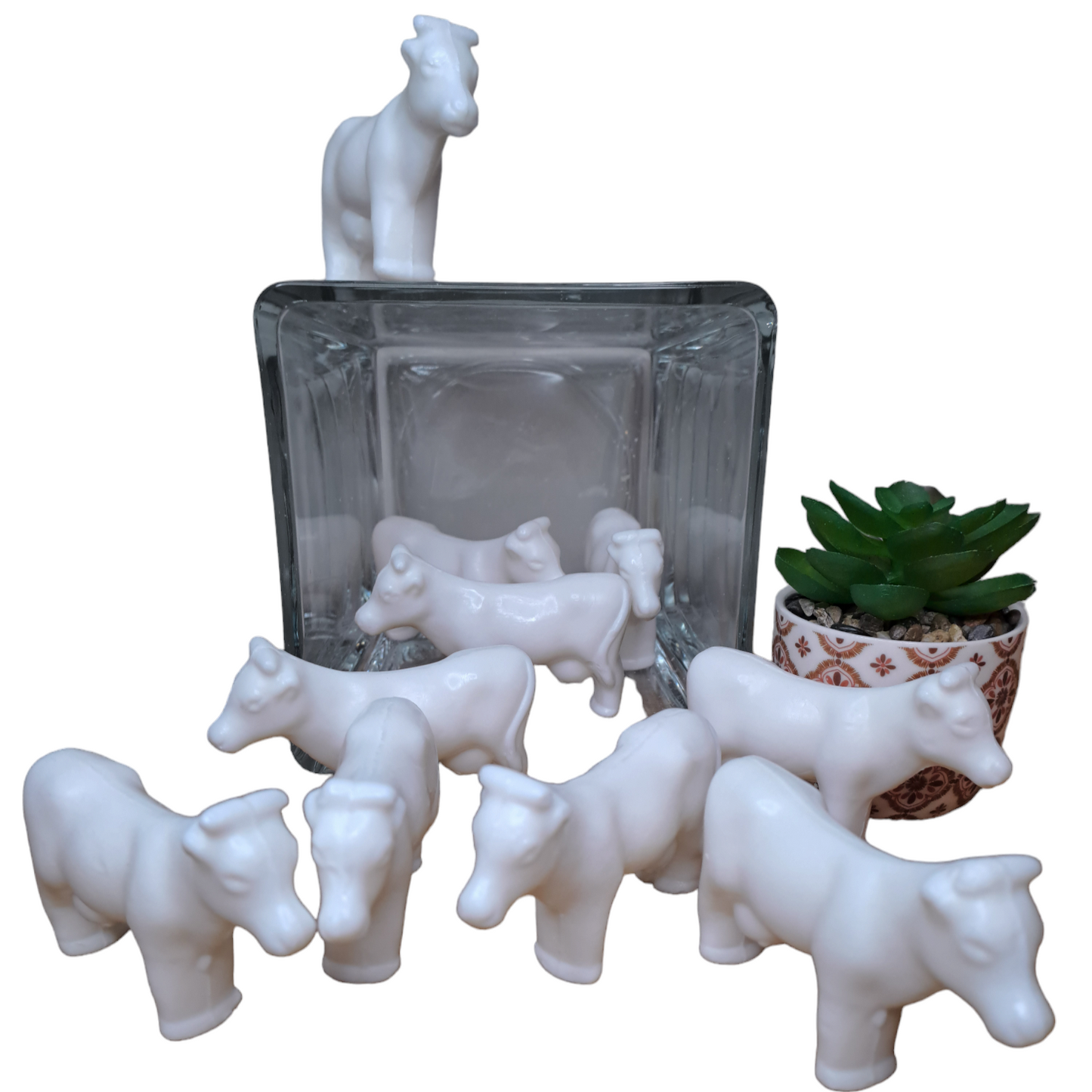 Vache MUGUET