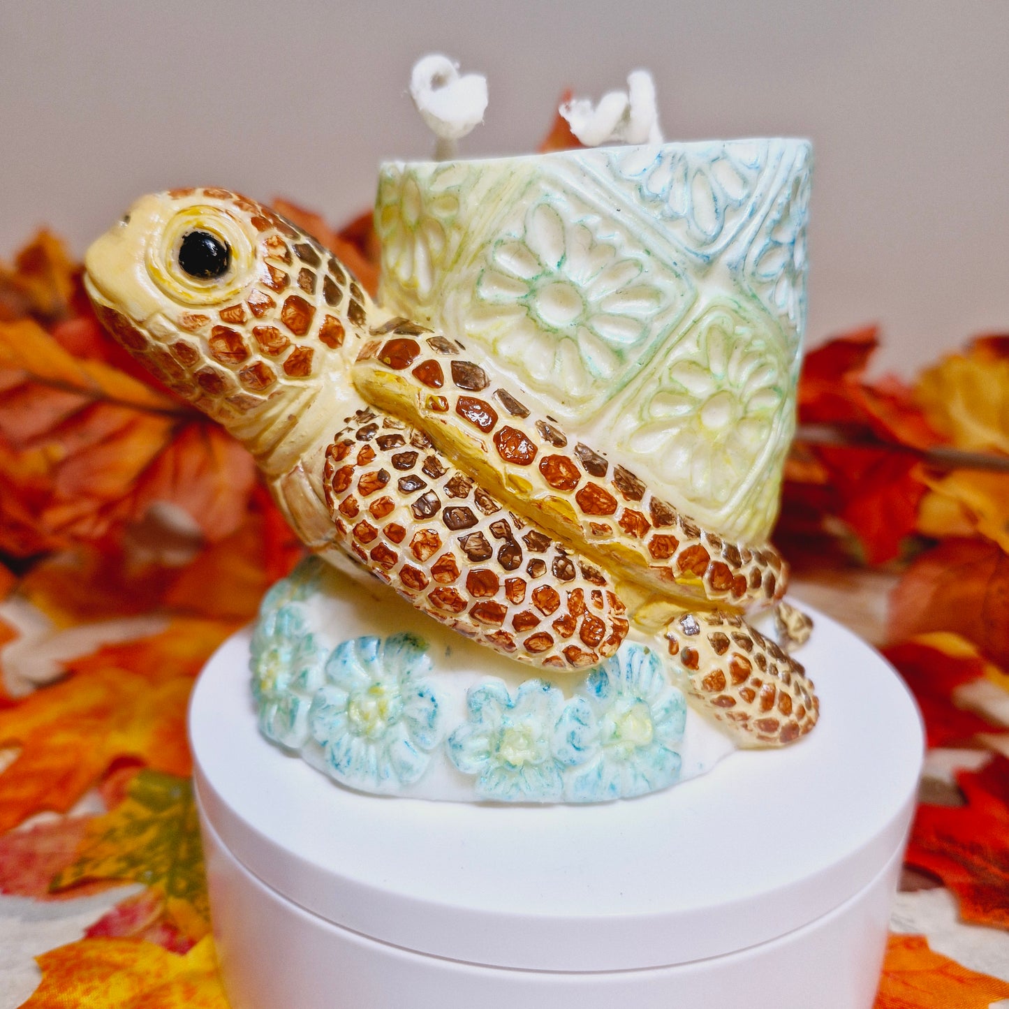 BOUGIE TORTUE