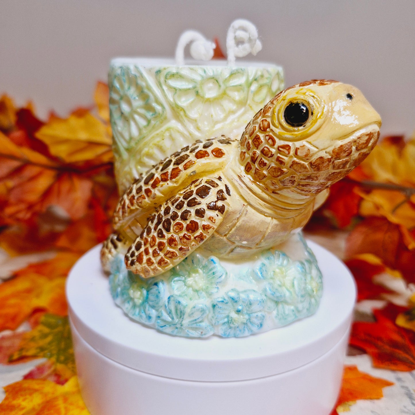 BOUGIE TORTUE