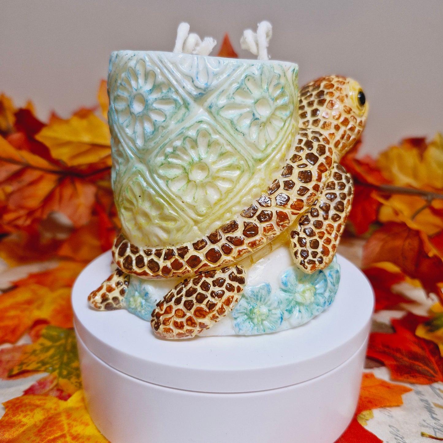 BOUGIE TORTUE