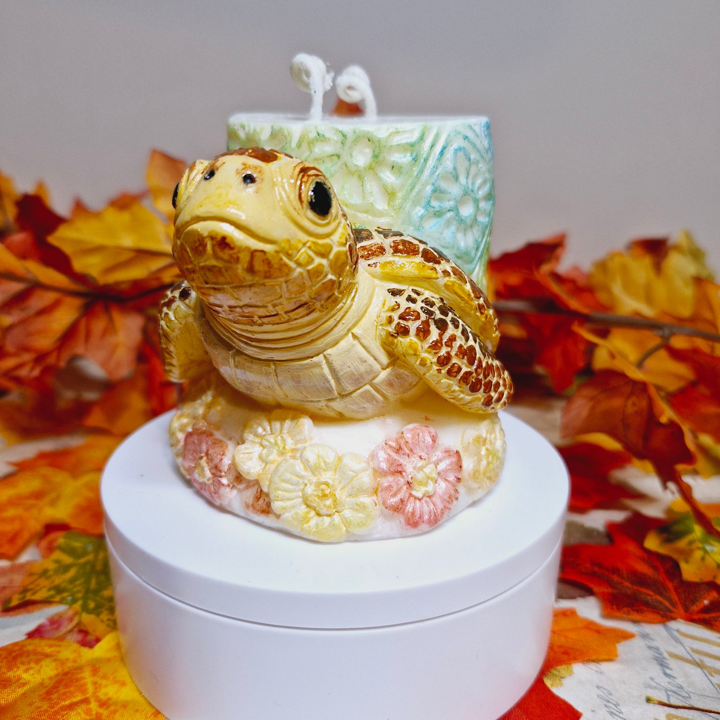 BOUGIE TORTUE