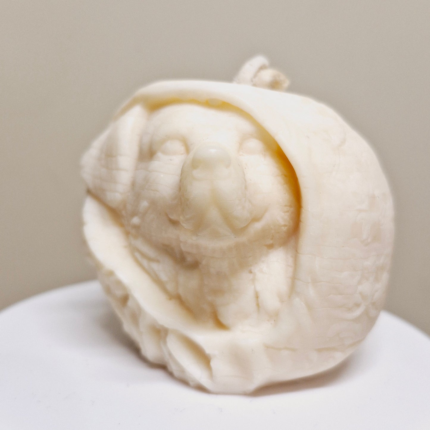 BOUGIE BOULE LABRADOR