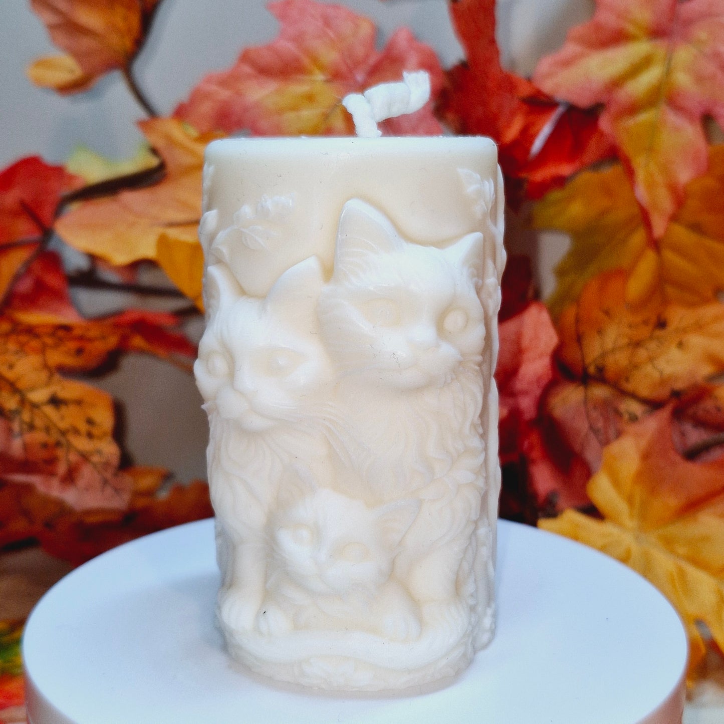 BOUGIE FAMILLE CHAT FLORAL