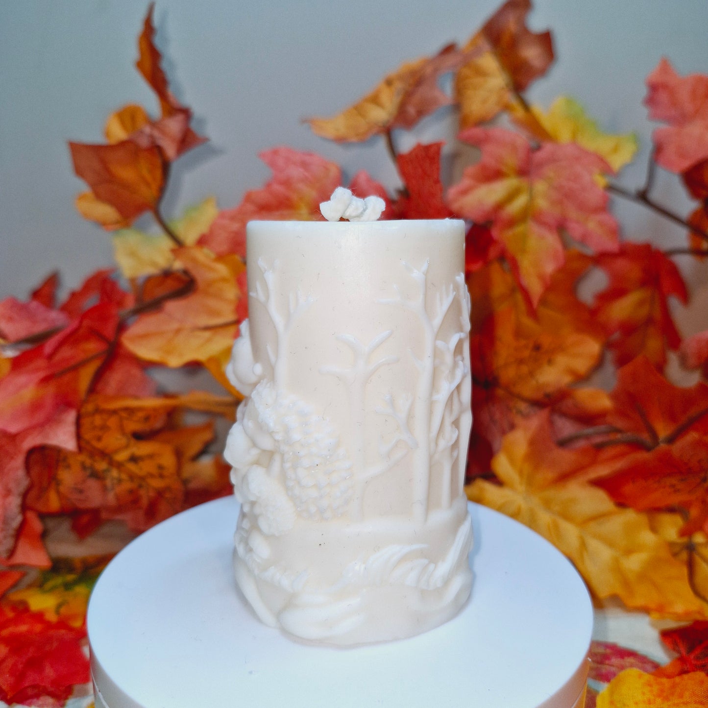 BOUGIE FAMILLE HÉRISSON