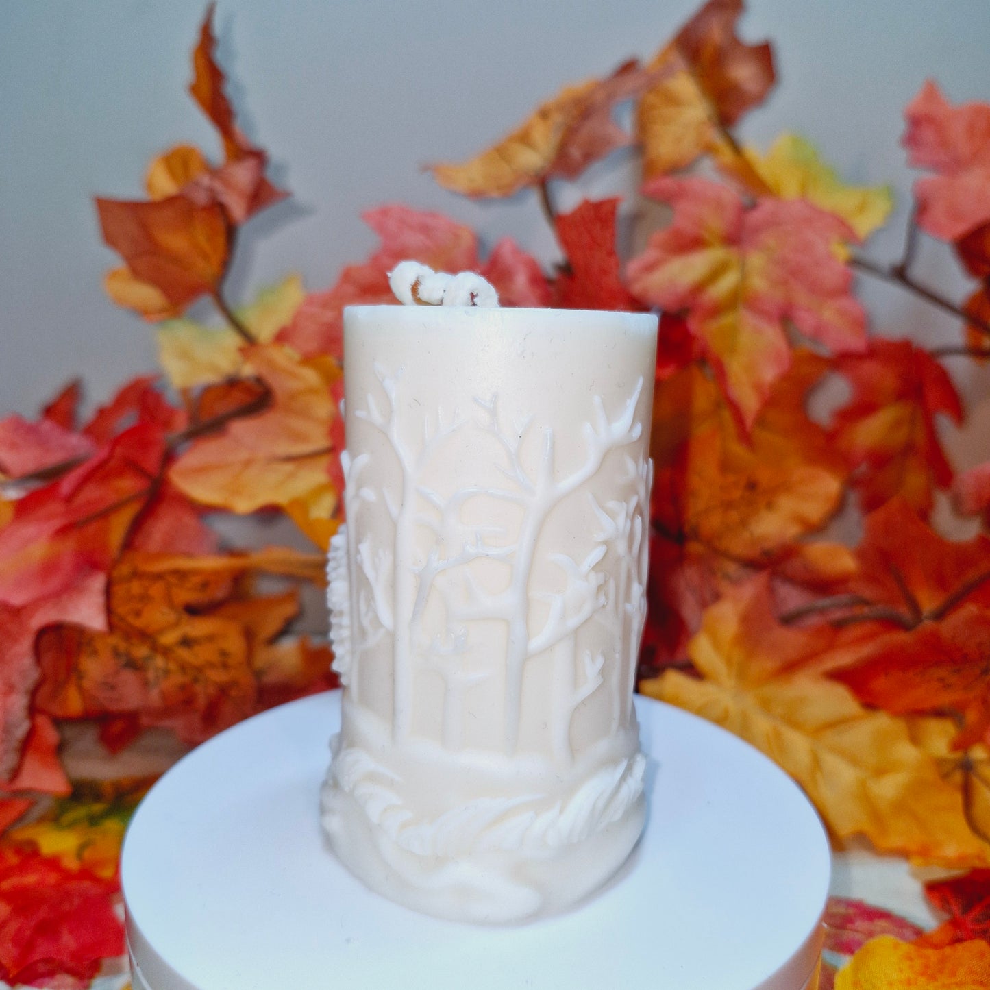 BOUGIE FAMILLE HÉRISSON