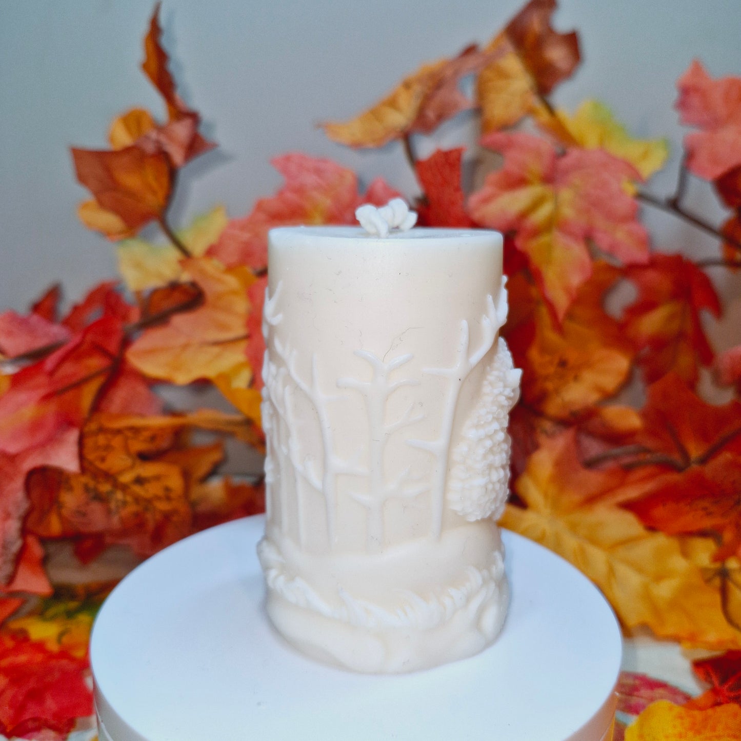 BOUGIE FAMILLE HÉRISSON