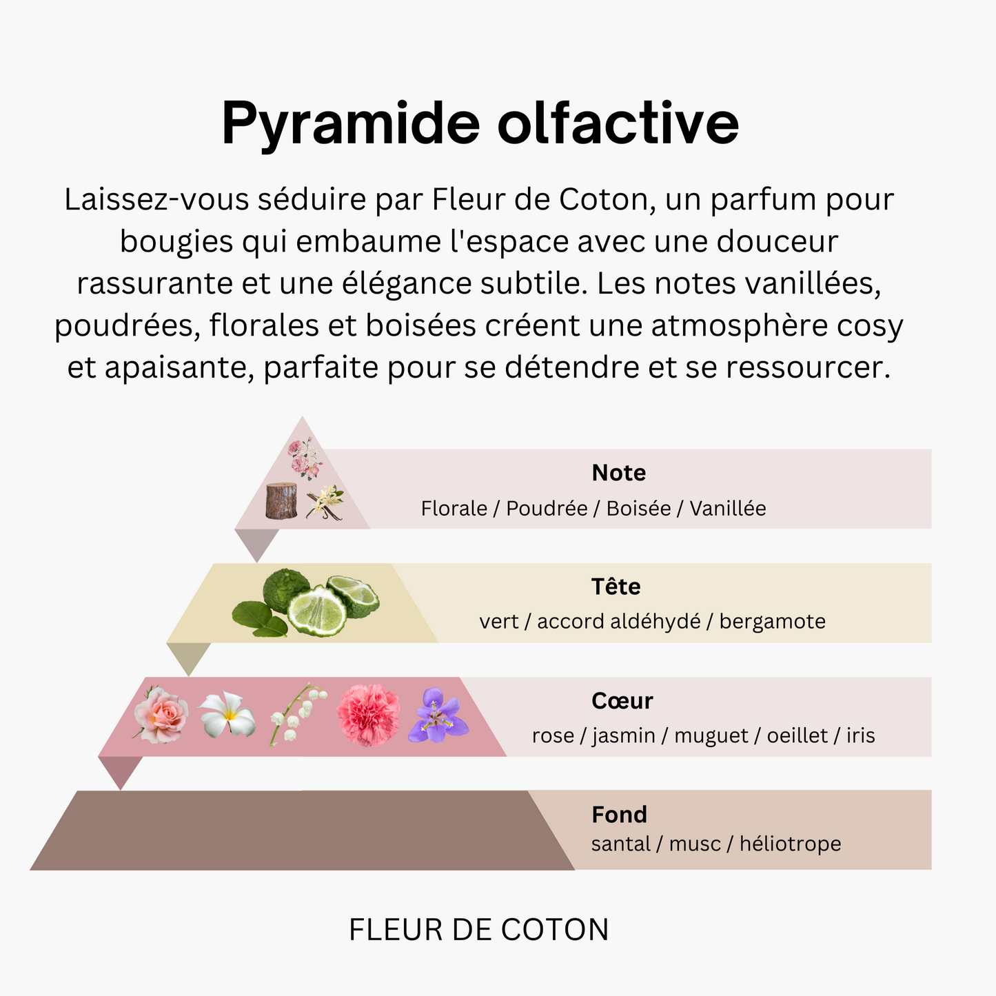 FONDANT MOYENNE TABLETTE ROND